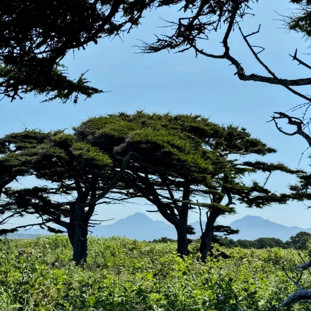 Сахалин + Итуруп| лето -осень