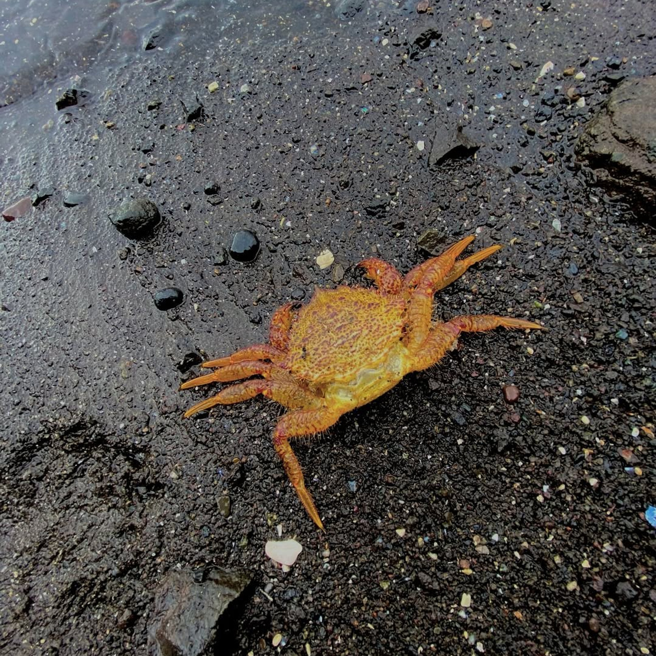 Сахалин + Итуруп| лето -осень