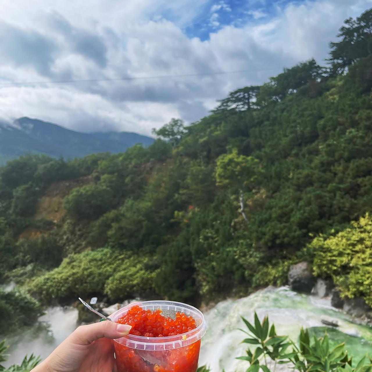 Сахалин + Итуруп| лето -осень