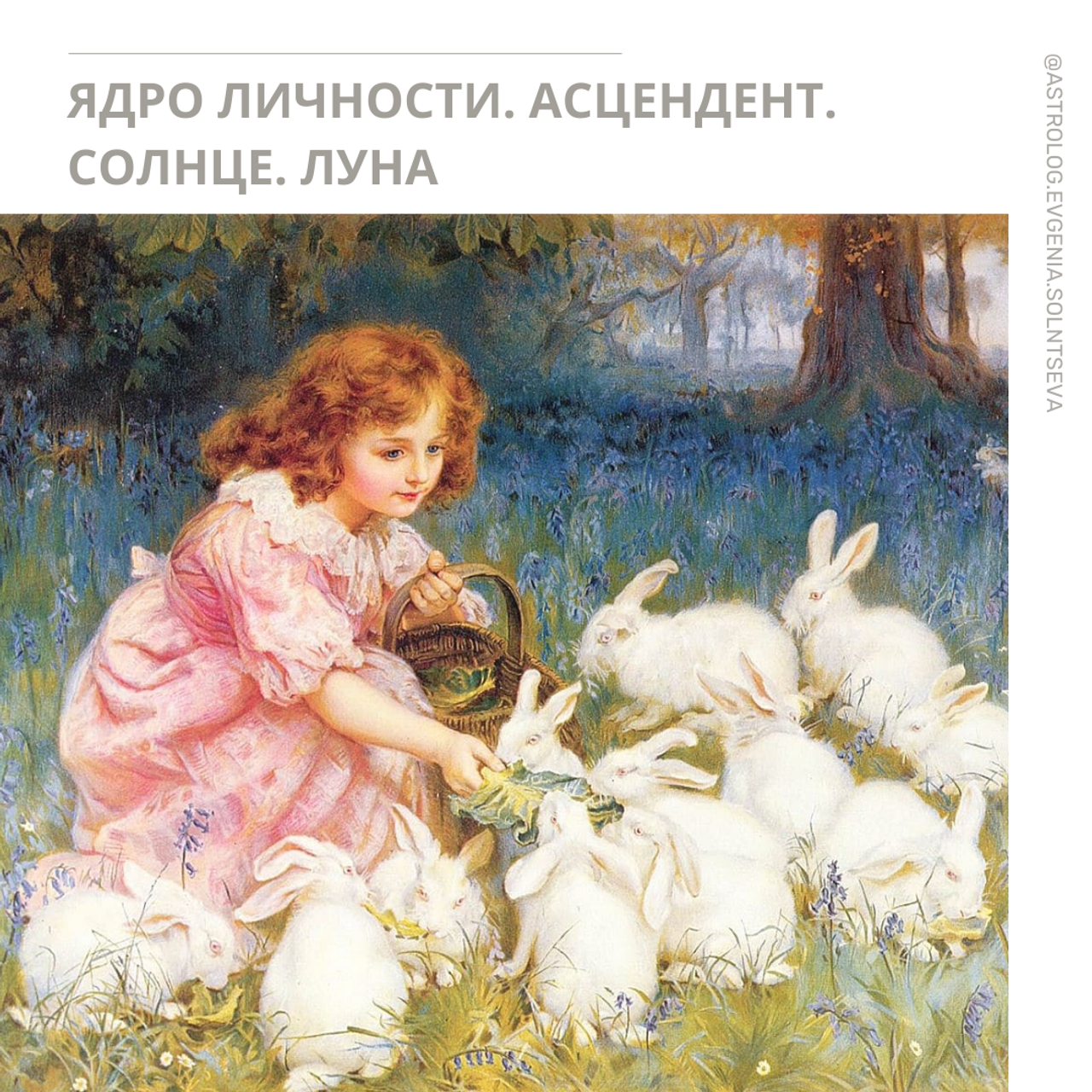 Астролог Евгения Солнцева. Составлю и расшифрую Натальную карту