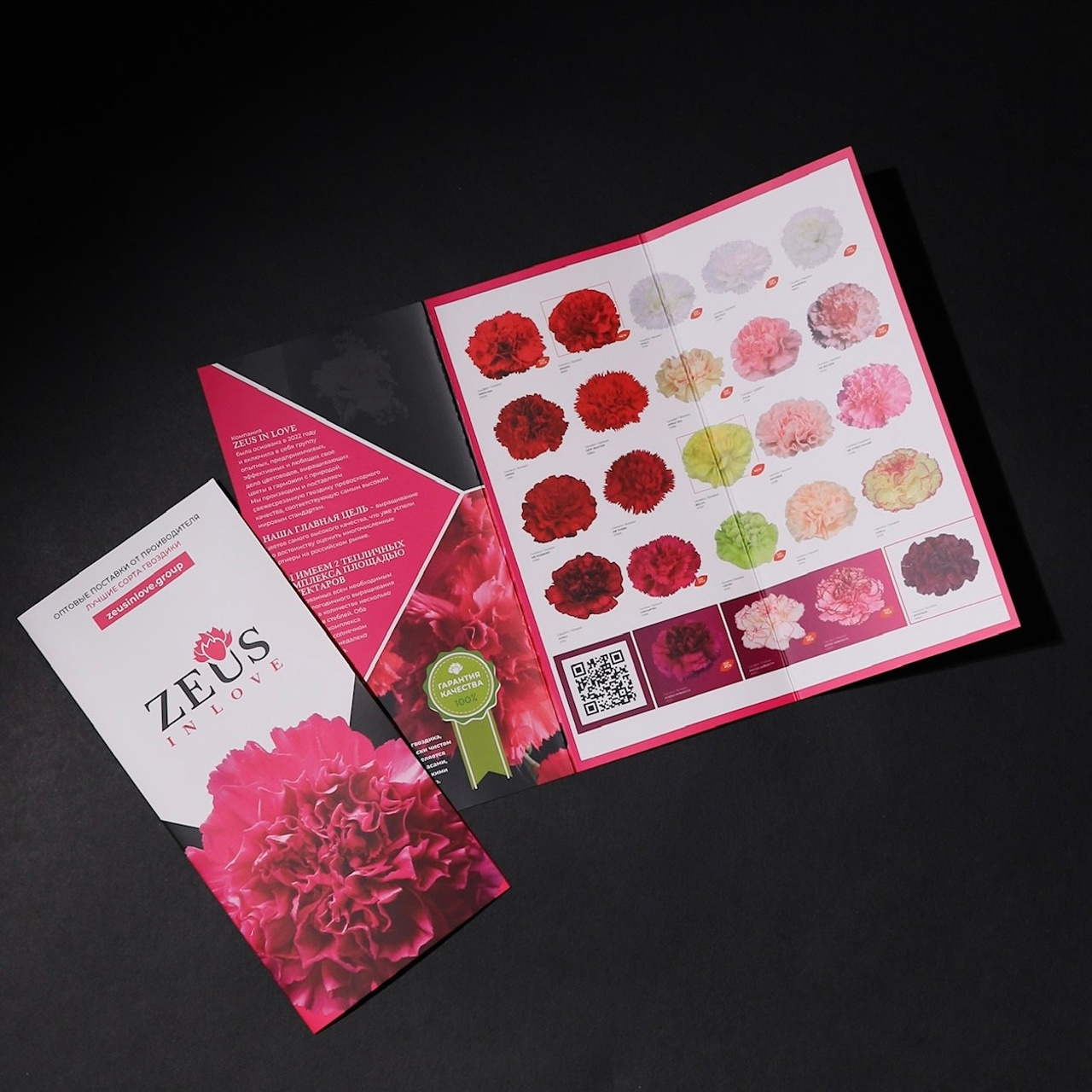 Коммерческие проекты. Ширяева Ольга