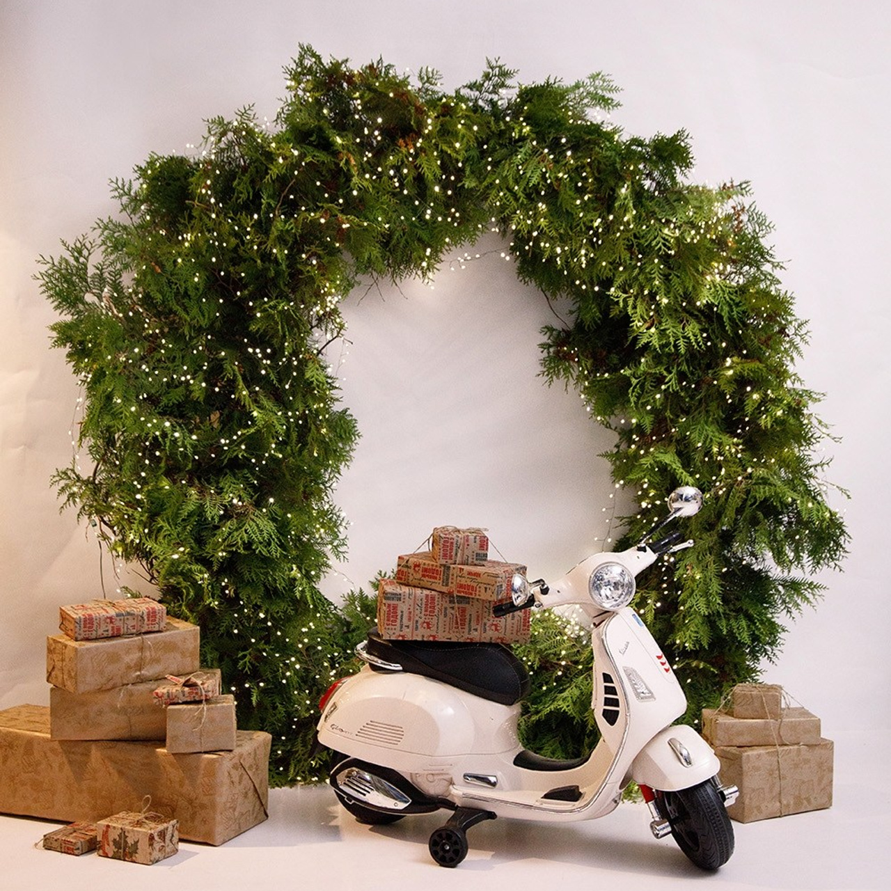 Актуальный интерьер фотостудий Брянска на Ноябрь, Декабрь 2024 и начала Января 2025