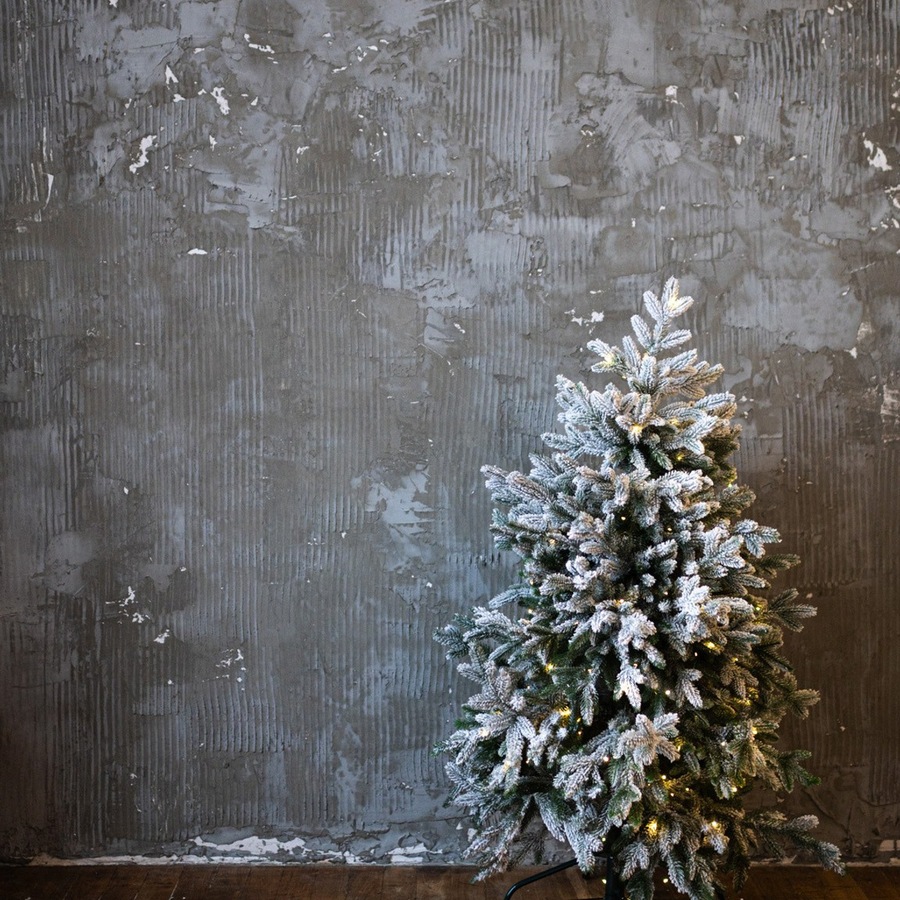 Актуальный интерьер фотостудий Брянска на Ноябрь, Декабрь 2024 и начала Января 2025