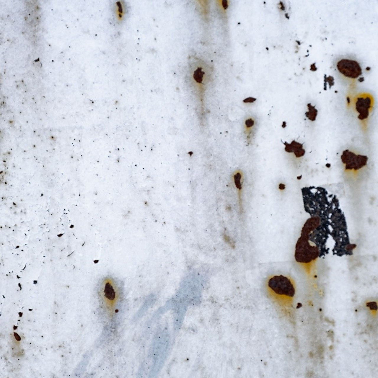 Серия «Человек, природа, время». Художник, фотограф Ирина Тен