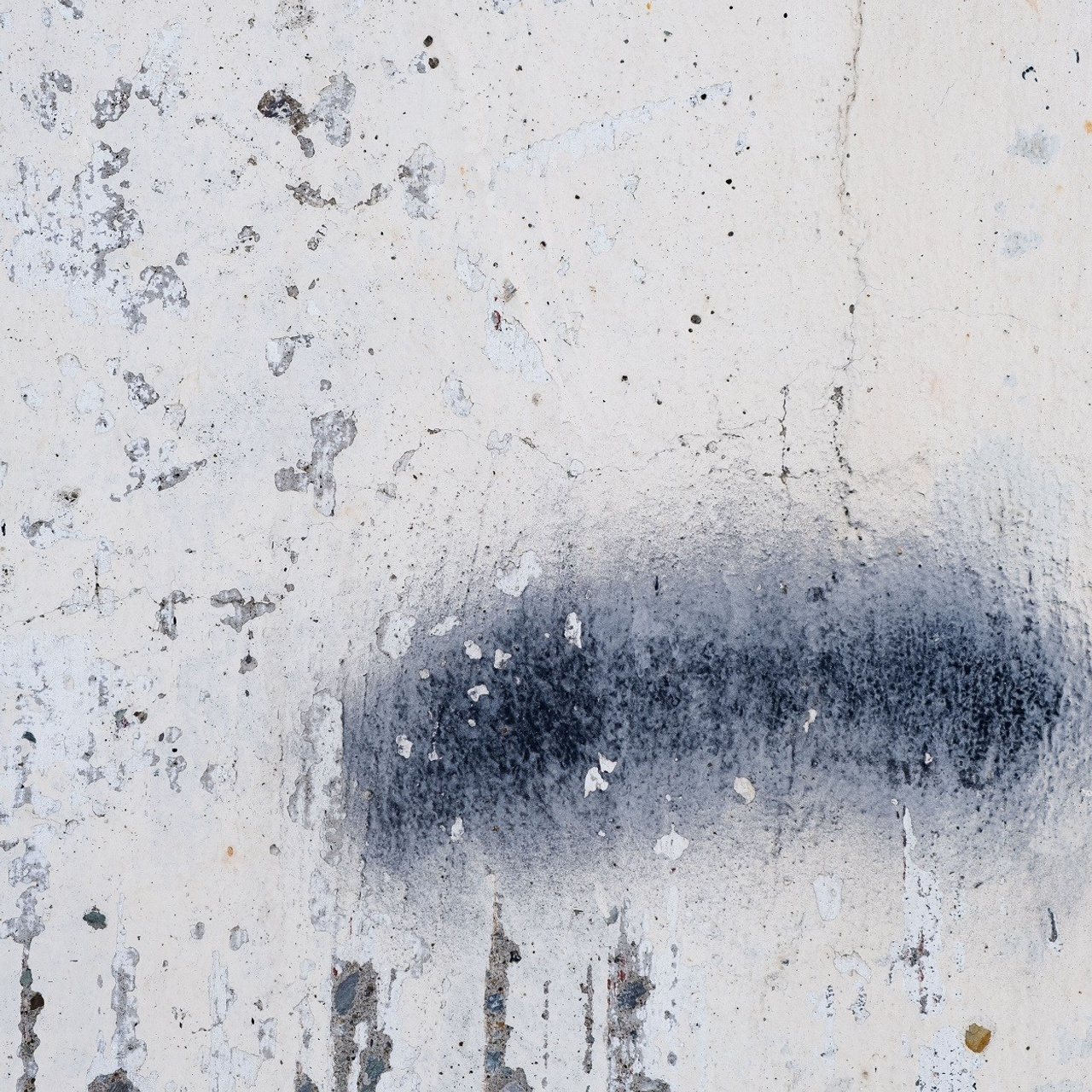 Серия «Человек, природа, время». Художник, фотограф Ирина Тен