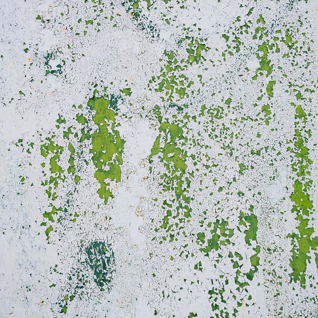 Серия «Человек, природа, время»