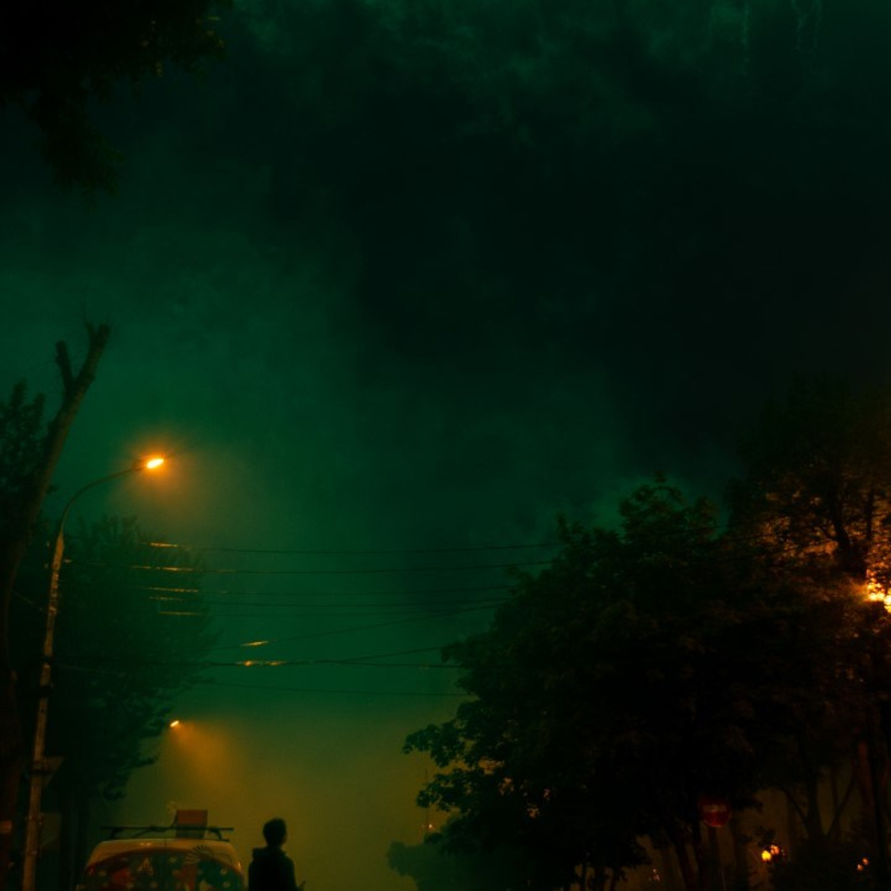 Серия «Про Сахалин». Художник, фотограф Ирина Тен