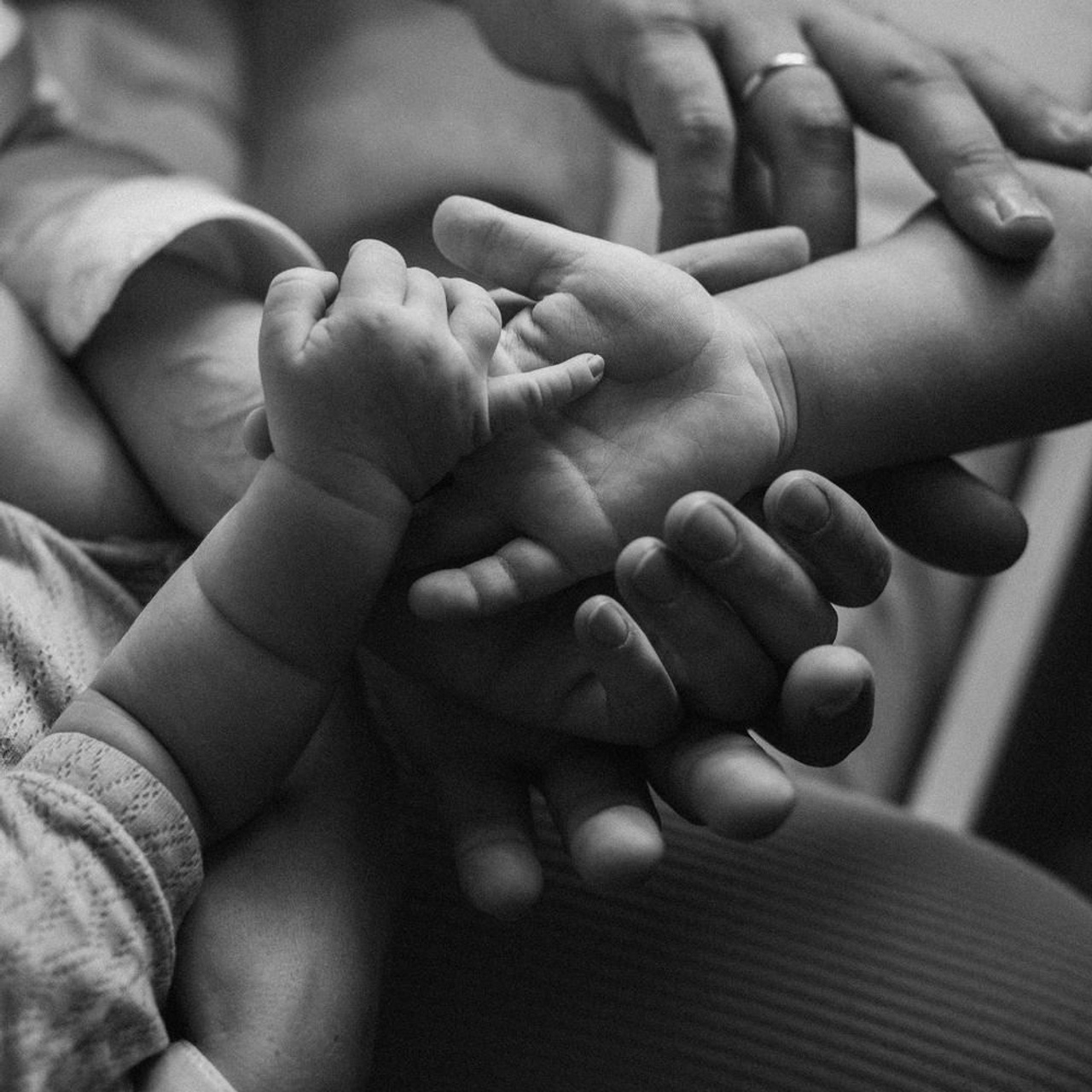 Пресс-релиз фотовыставки Марии Щемелевой, 2024. Организация фотовыставок в Петербурге и Москве, MFamilia (МФамилия)