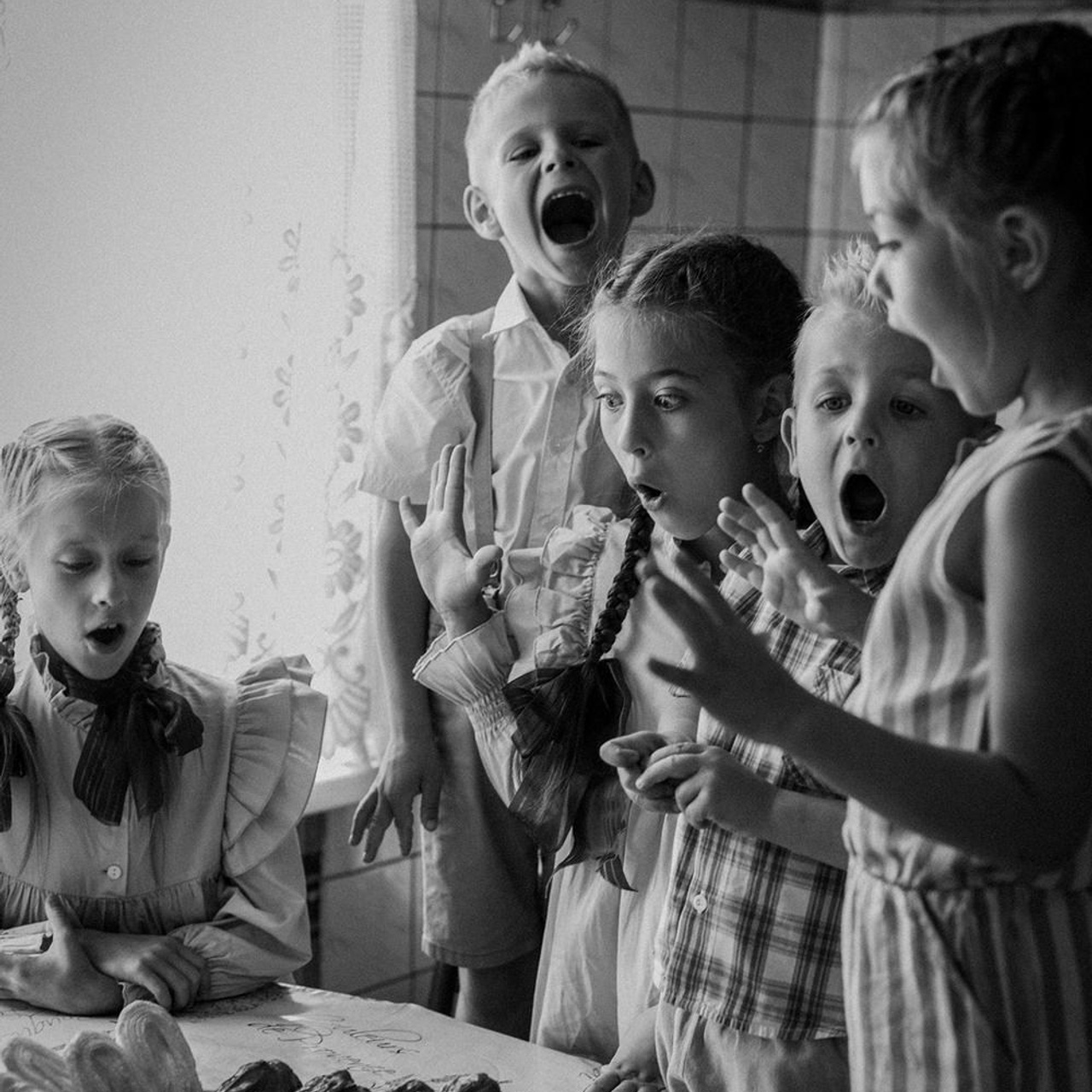 Пресс-релиз фотовыставки Марии Щемелевой, 2024. Организация фотовыставок в Петербурге и Москве, MFamilia (МФамилия)