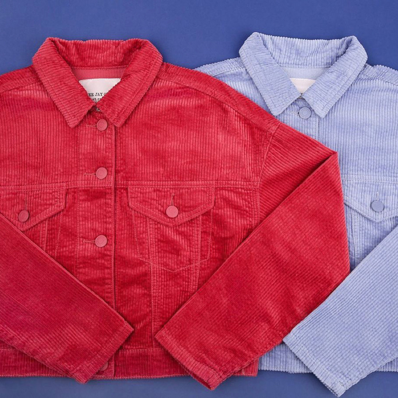 Продюсер Людмила Щерица