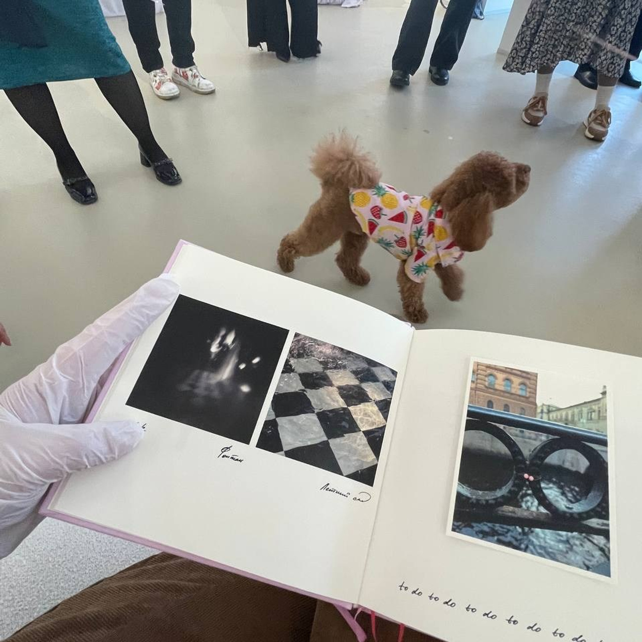 КНИГА ХУДОЖНИКА PINK WORD RED FLAG. Бюро Индульгенции Серафима Бучинская продюсер дизайнер художница СПб