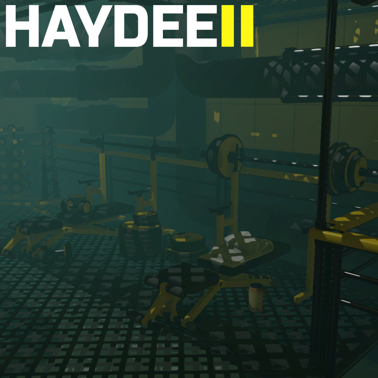 Level Minigym