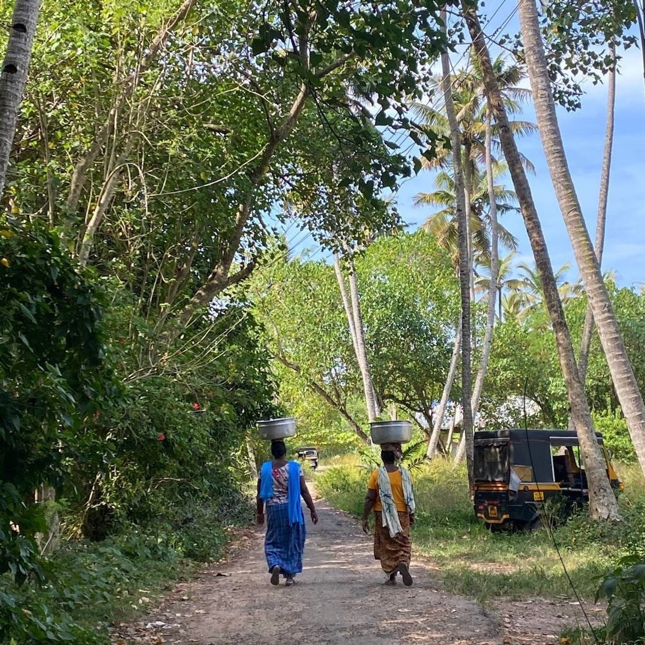 ИНДИЯ 2026. Художник, арт — терапевт, преподаватель рисования Шабырова Анна, Москва