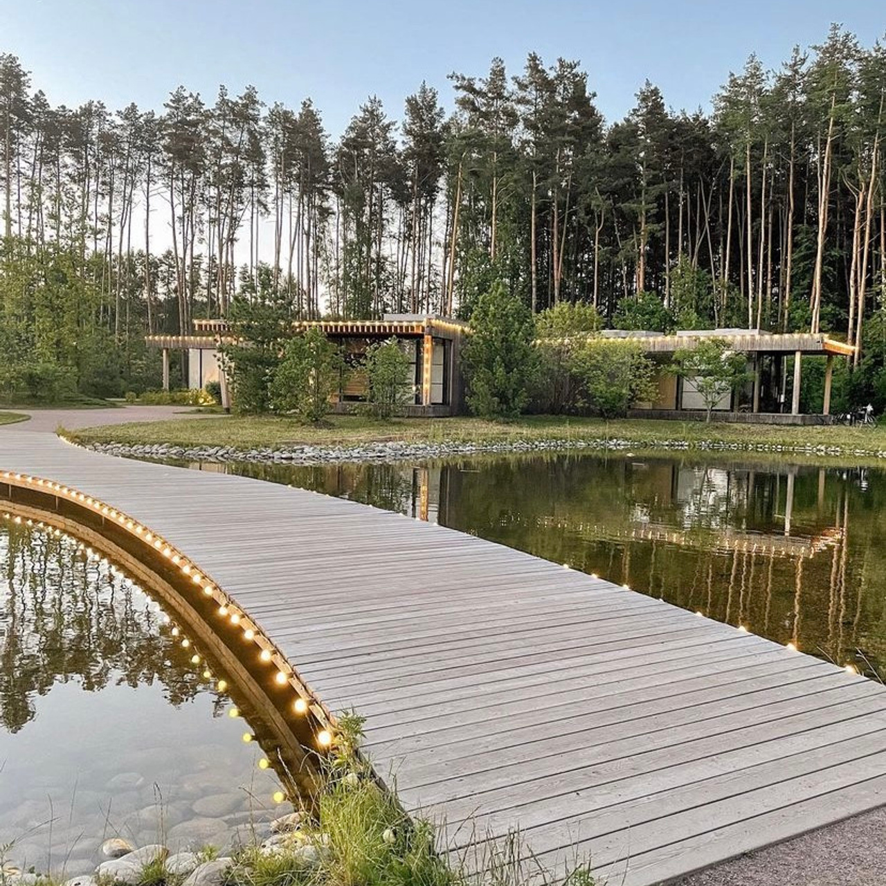 Лесная Чайная. Виктория Еремина — фотограф и видеограф в Москве