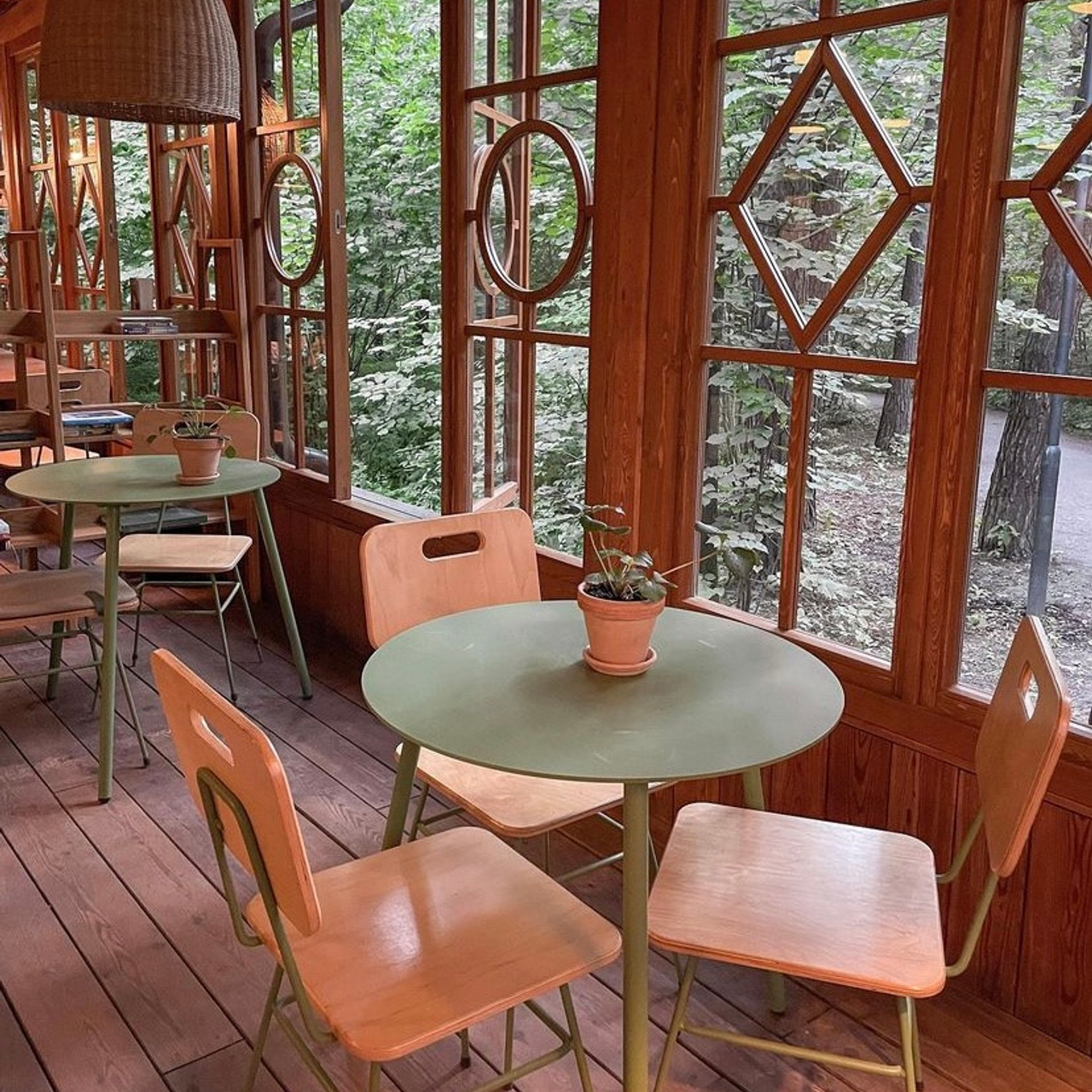 Лесная Чайная. Виктория Еремина — фотограф и видеограф в Москве