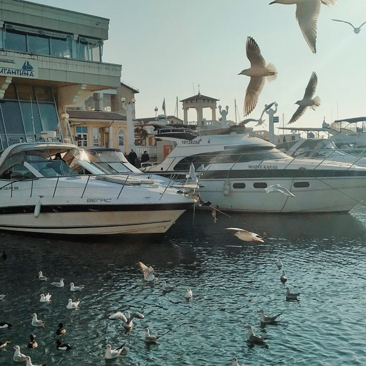 ФОТОТУР СОЧИ ФЕВРАЛЬ. ФОТОТУРЫ И ВОРКШОПЫ ДЛЯ ФОТОГРАФОВ