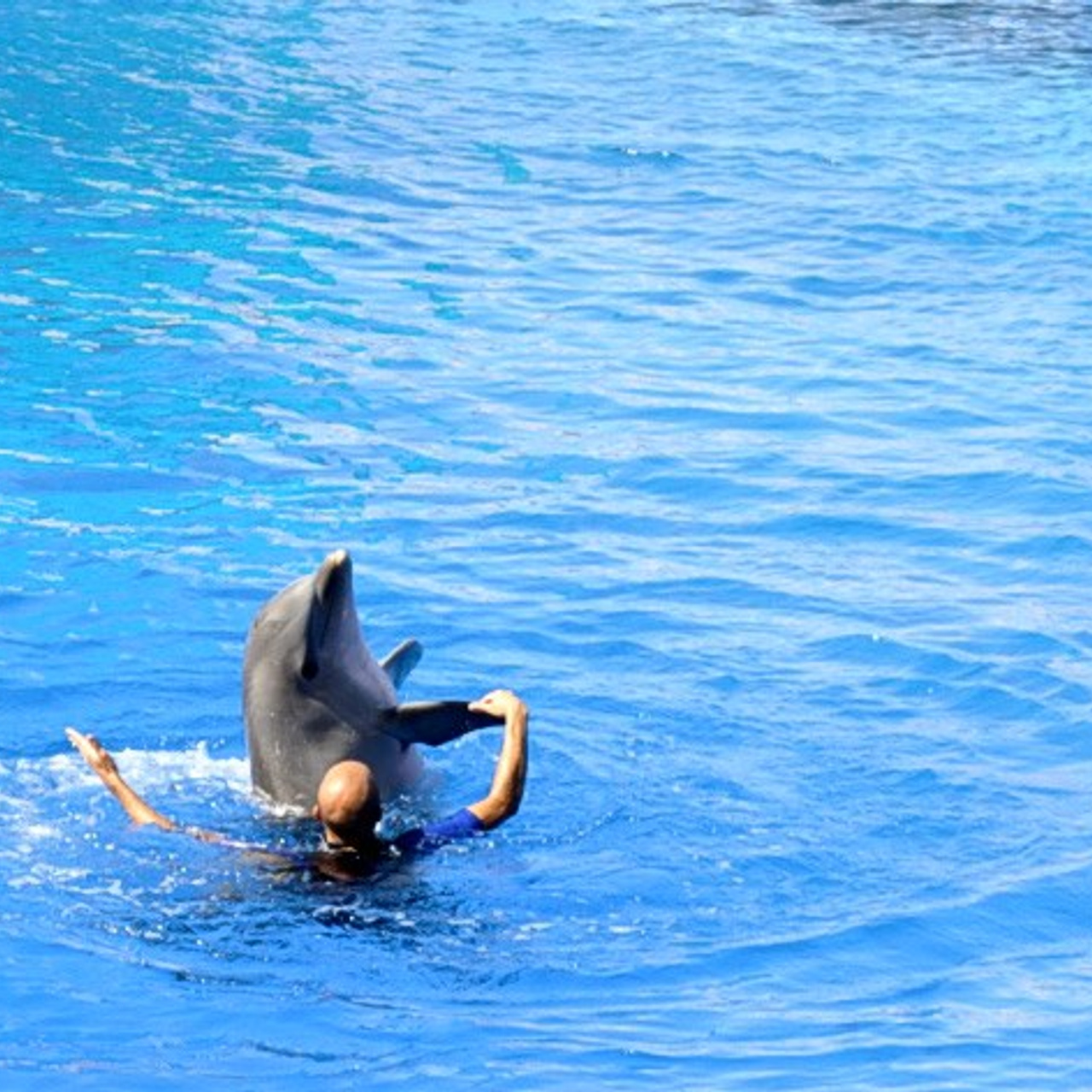 Океанографик в Валенсии. Гид и фотограф в Валенсии Новиков Михаил