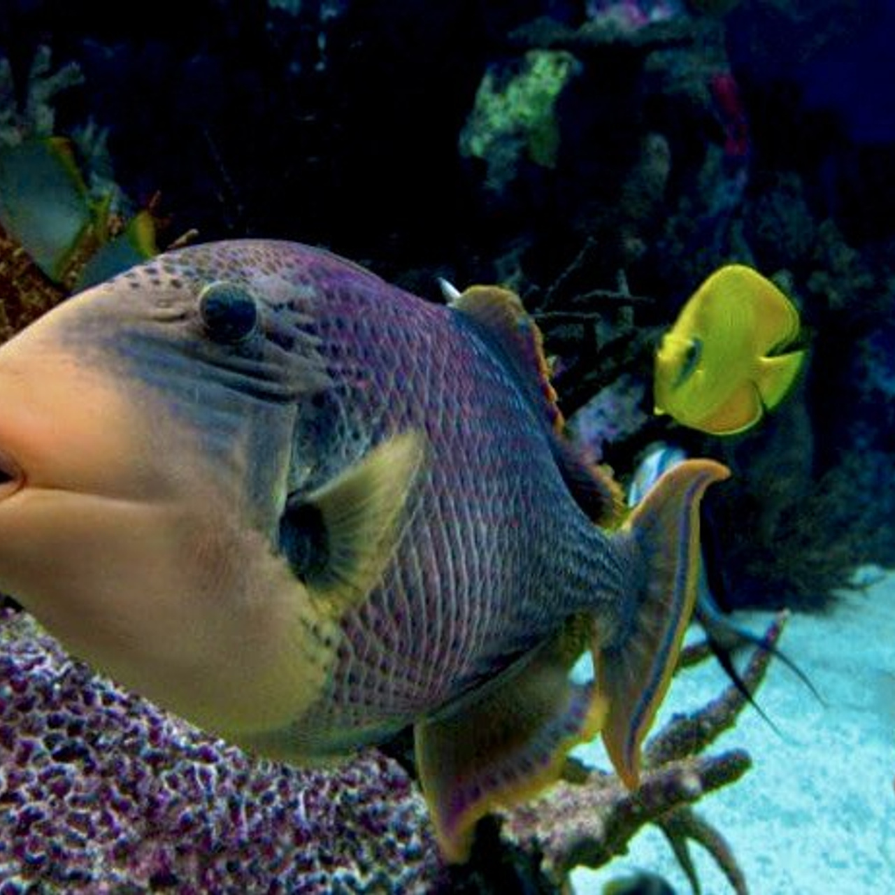 Океанографик в Валенсии. Гид и фотограф в Валенсии Новиков Михаил