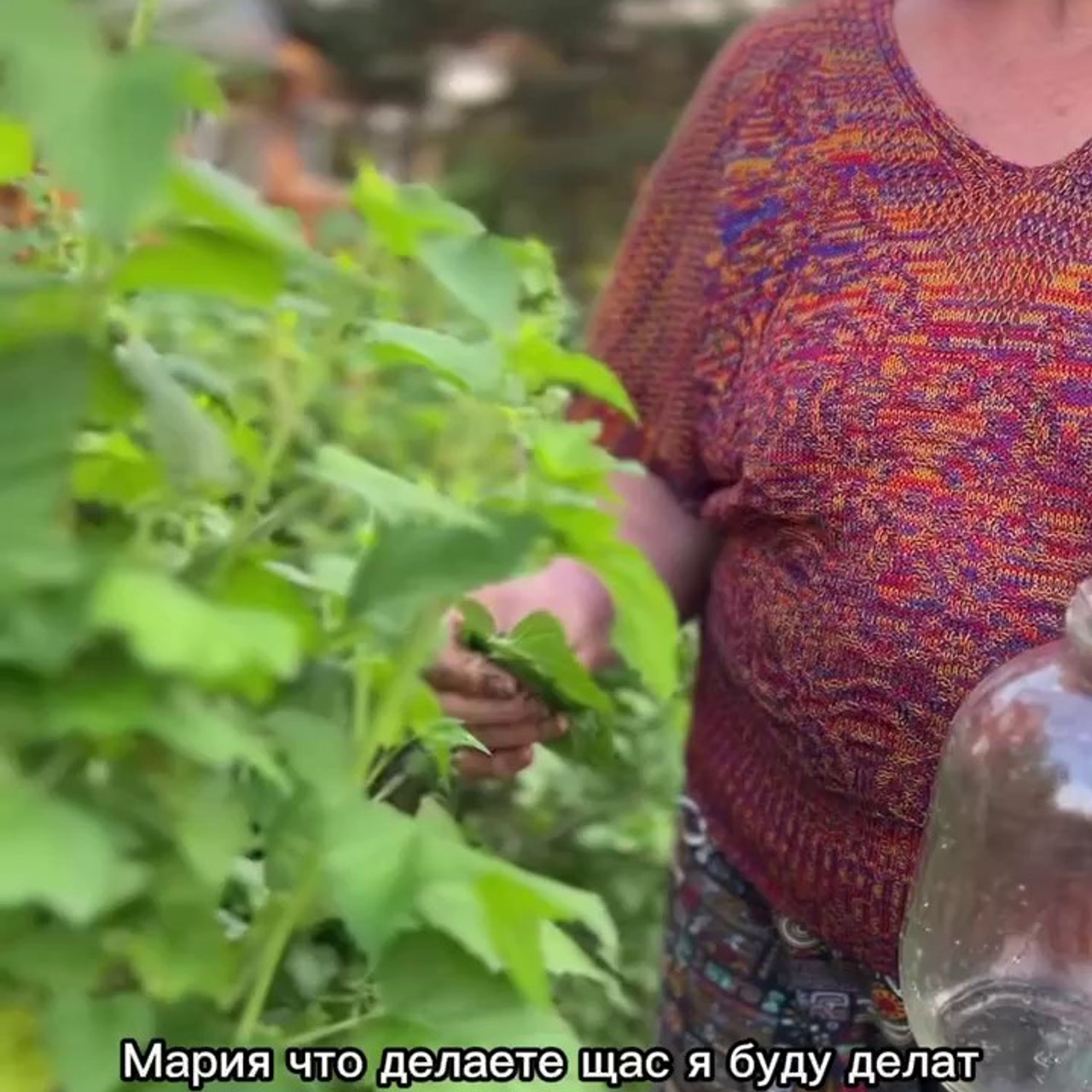 Натуральный мед для здоровья организма человека. Эко отдых в Подмосковье в эко-отеле Марии Гиппенрейтер
