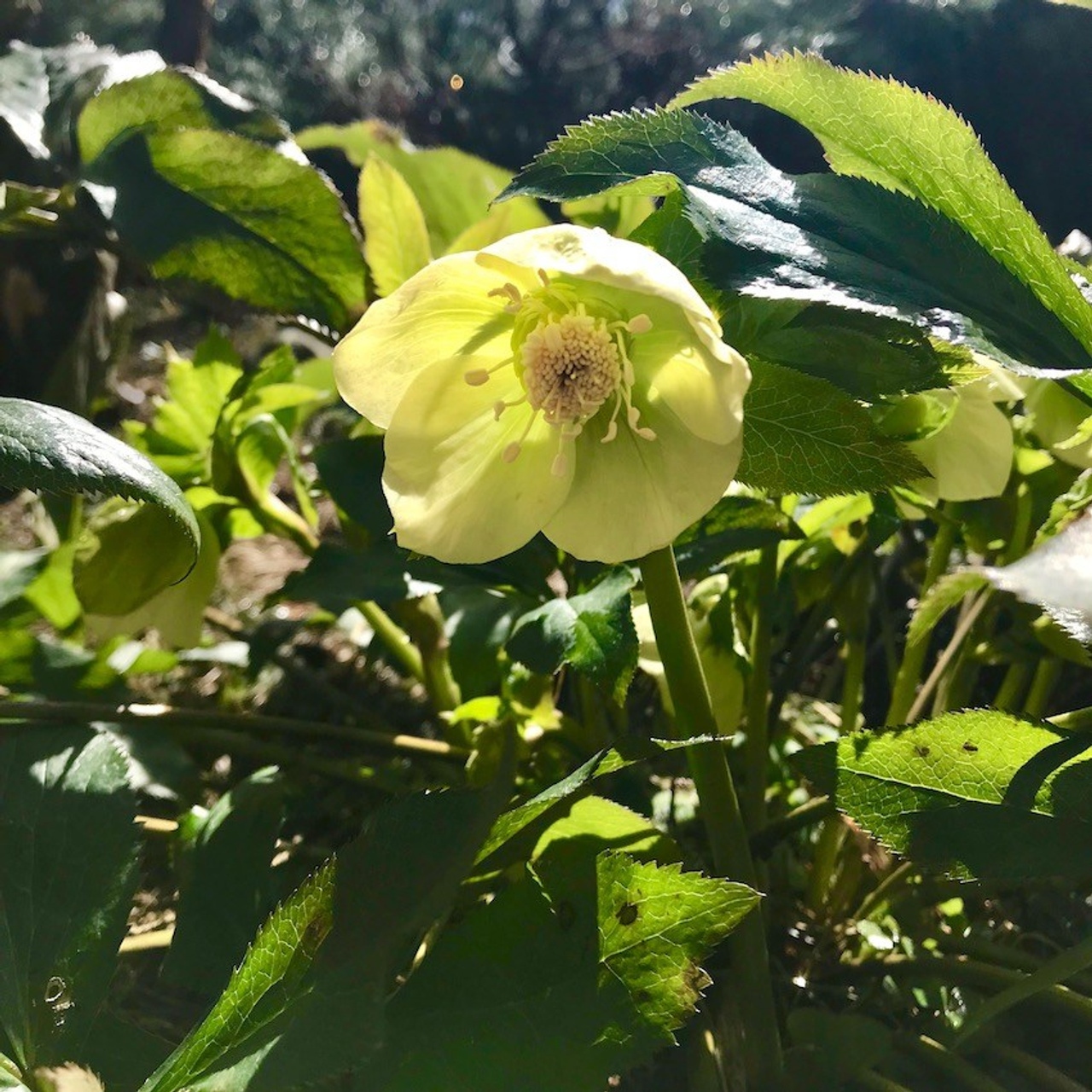 Вся природа оживает. Эко отдых в Подмосковье в эко-отеле Марии Гиппенрейтер