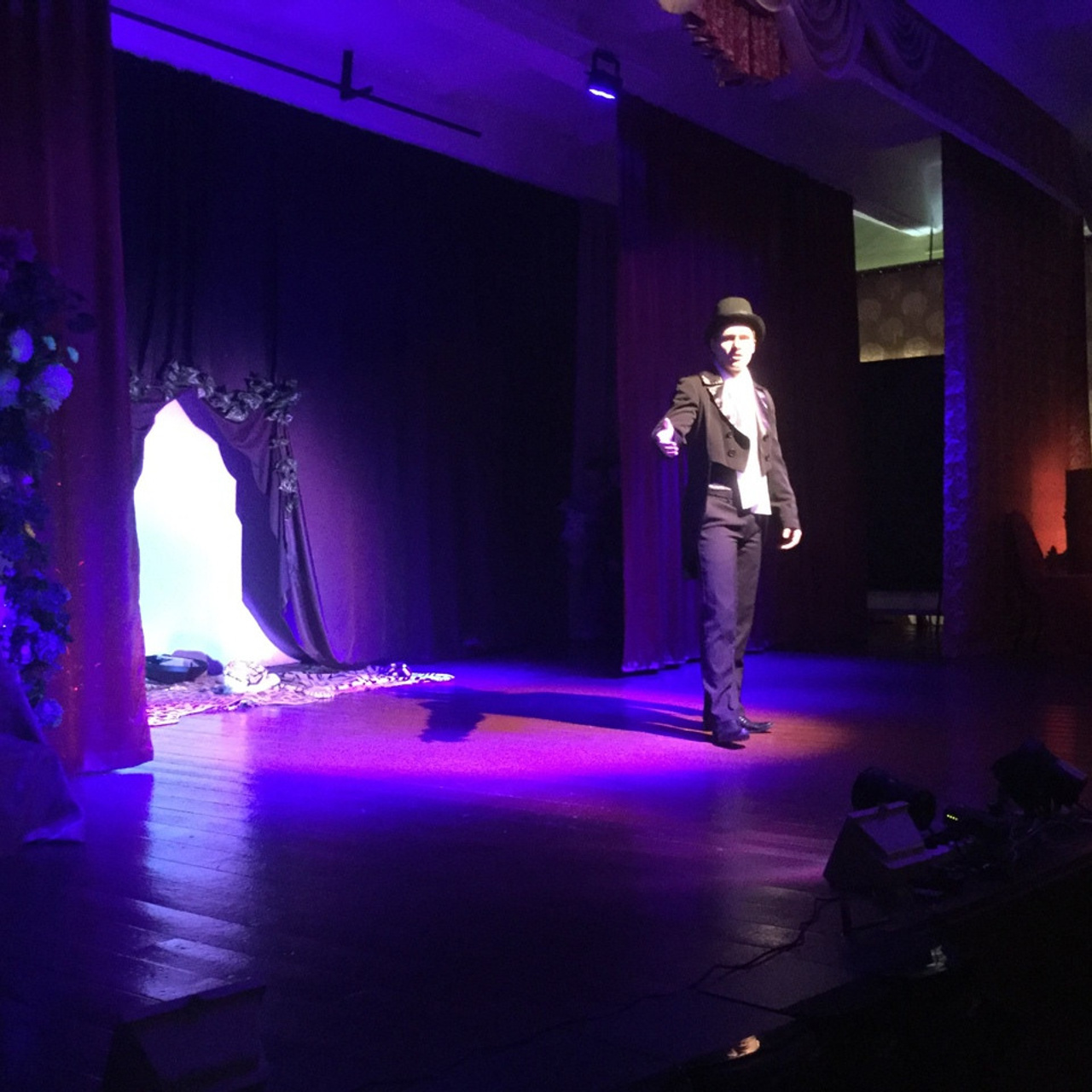 Кошка, которая гуляла сама по себе