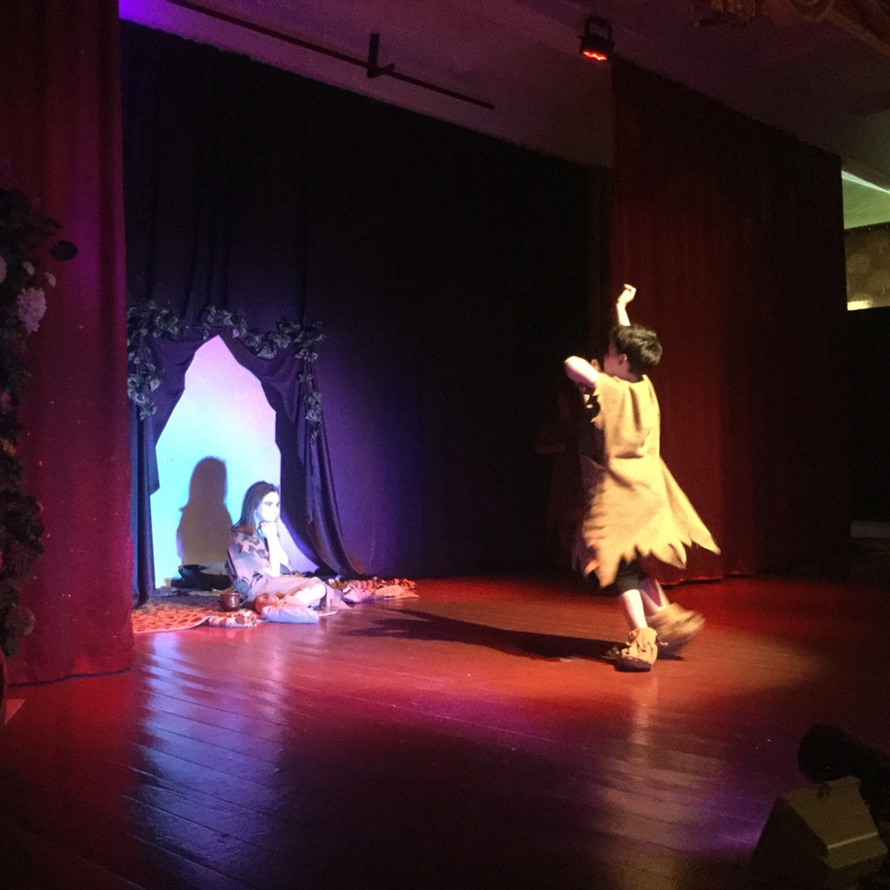 Кошка, которая гуляла сама по себе