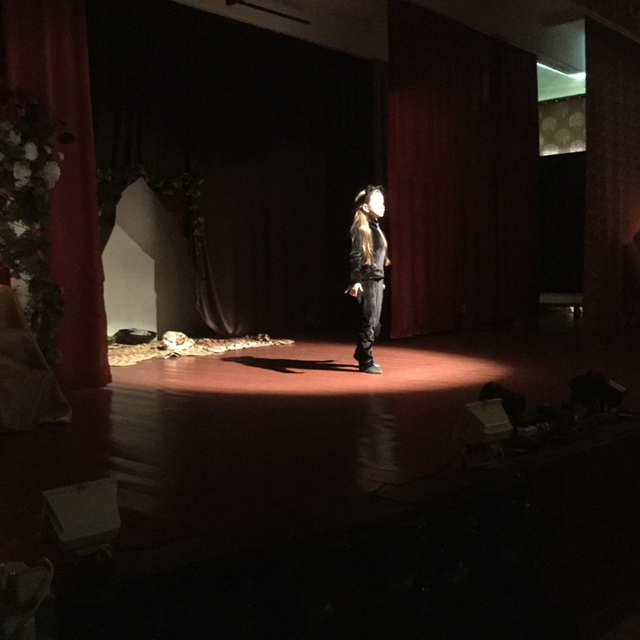 Кошка, которая гуляла сама по себе