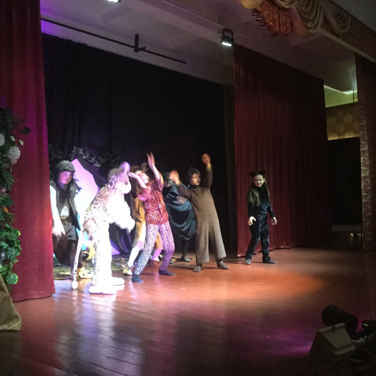 Кошка, которая гуляла сама по себе