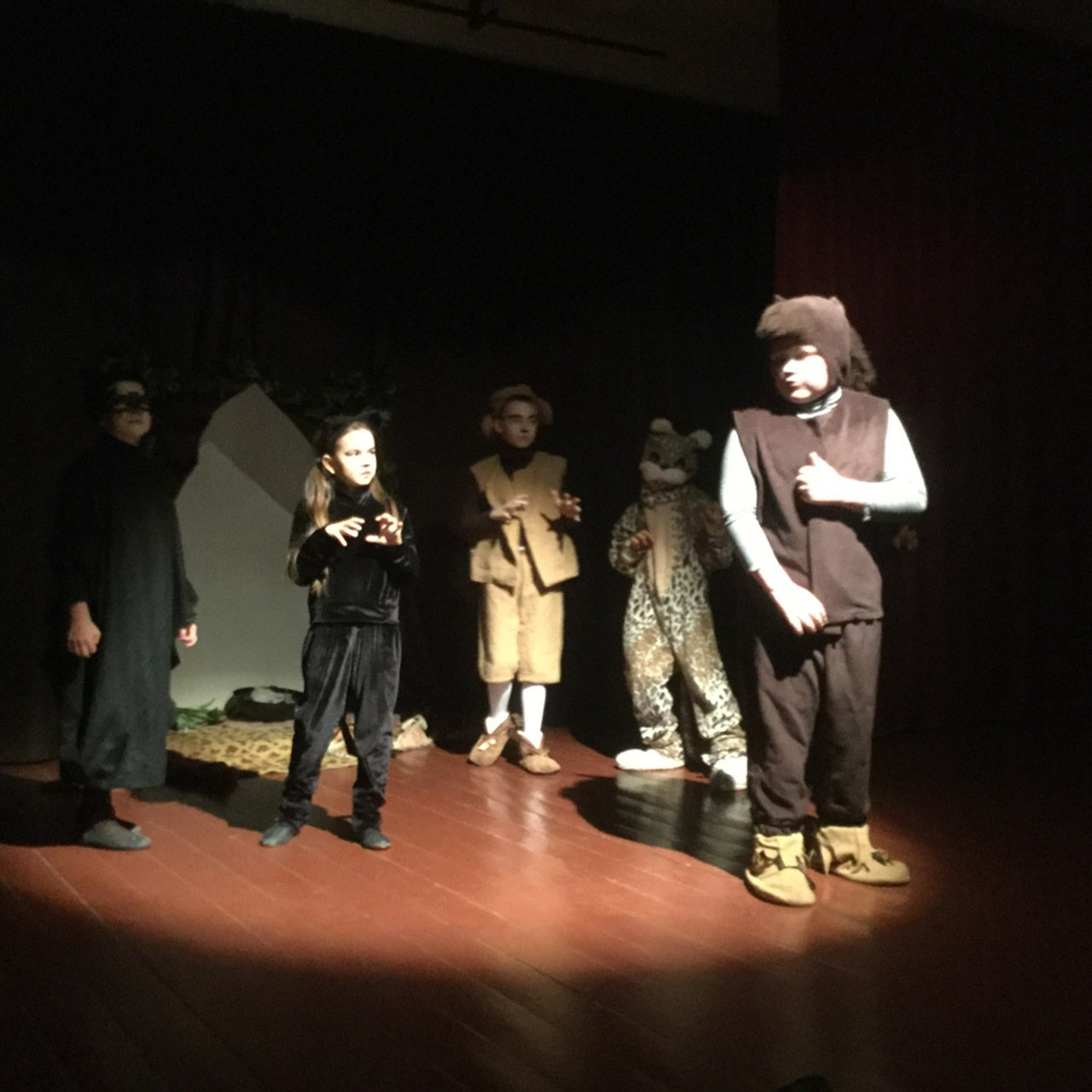 Кошка, которая гуляла сама по себе