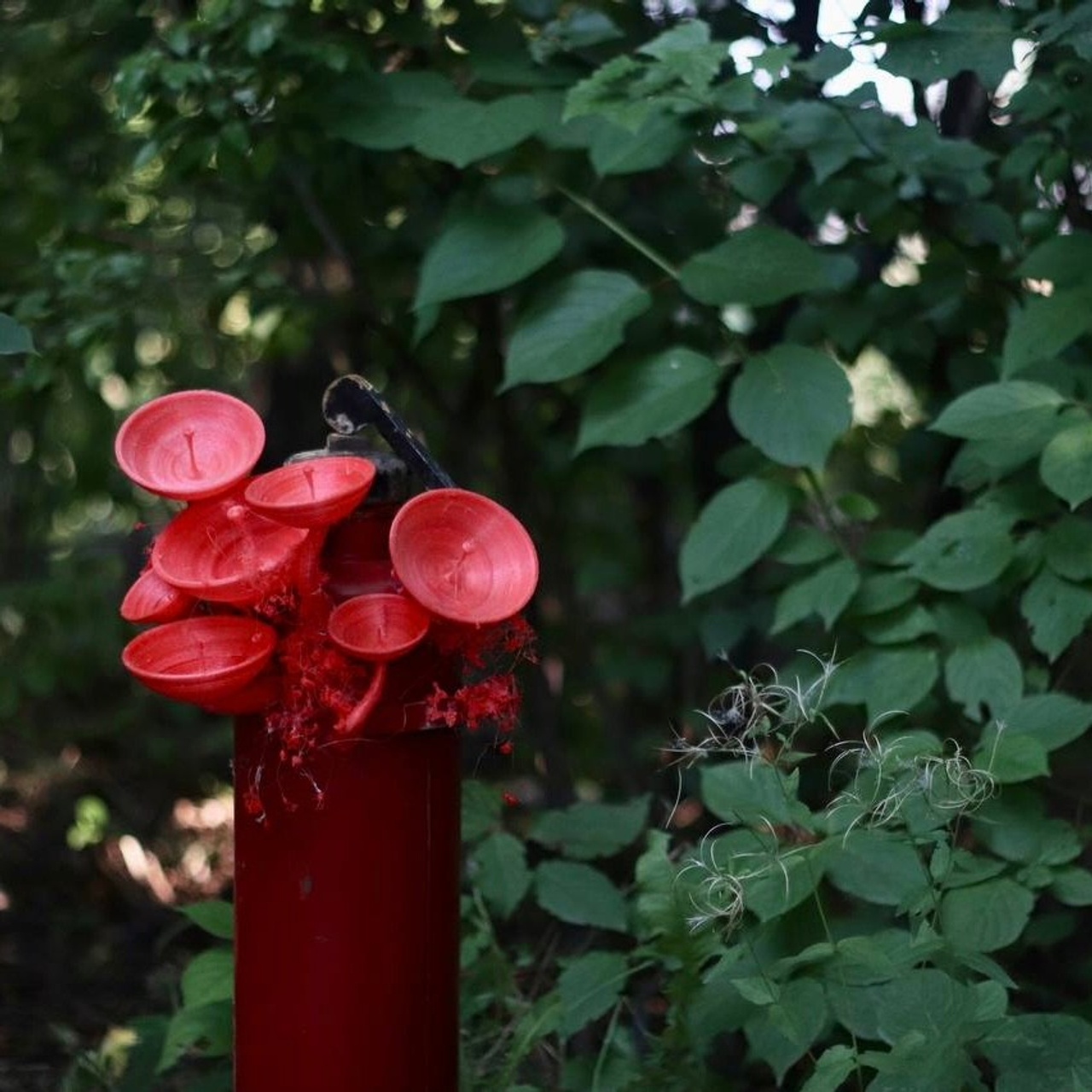 Техно|генное #80. Саша Малышева ● Художник