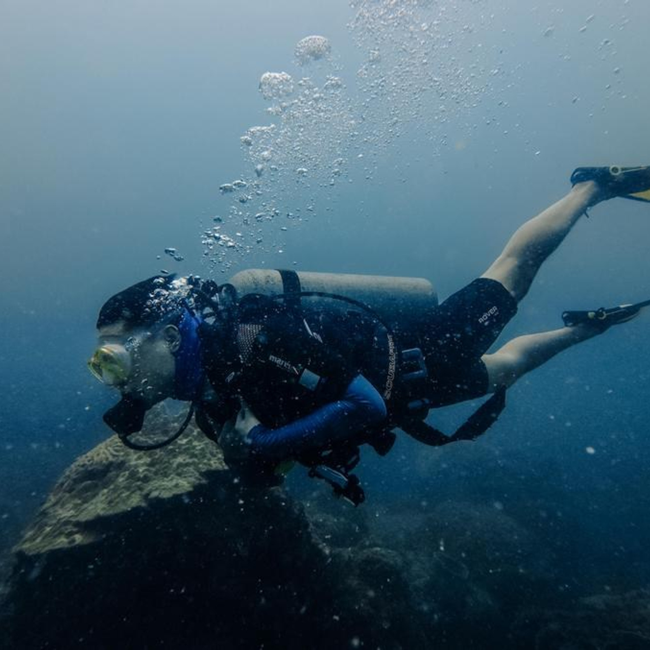 Дайвинг во Вьетнаме