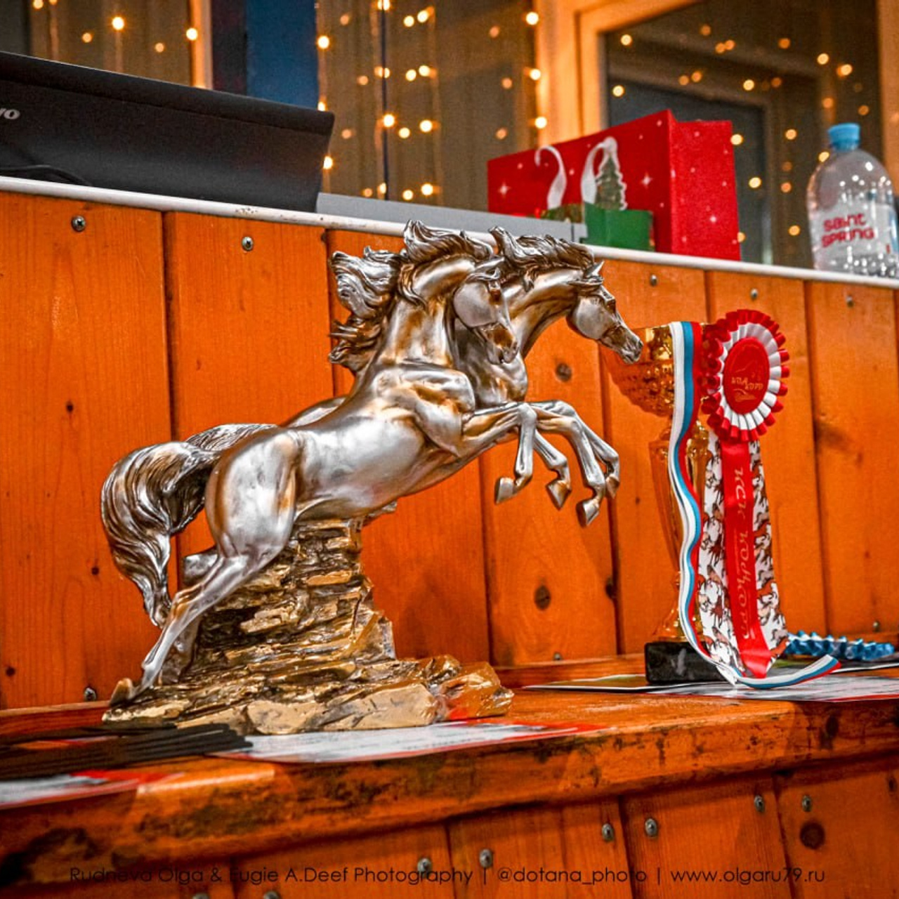 ТУРНИРНАЯ КОННАЯ ФОТОГРАФИЯ, Руднева Ольга и Евгений Адеев