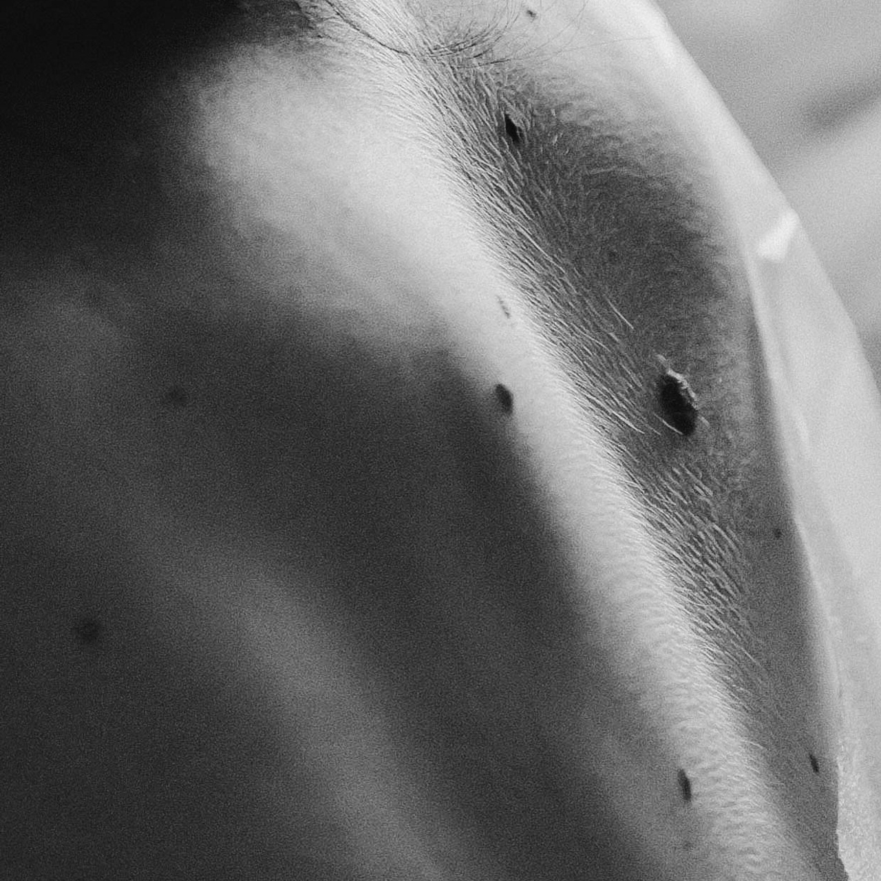 Роды в Нижнем Новгороде, фотограф на роды в Нижнем Новгороде, фотограф рождения в Нижнем Новгороде, Фотограф на роды Елена Лисина, Елена Лисина фотограф рождения, фотосъемка родов, видеосъемка родов, 1 роддом, 1 роддом Нижний Новгород