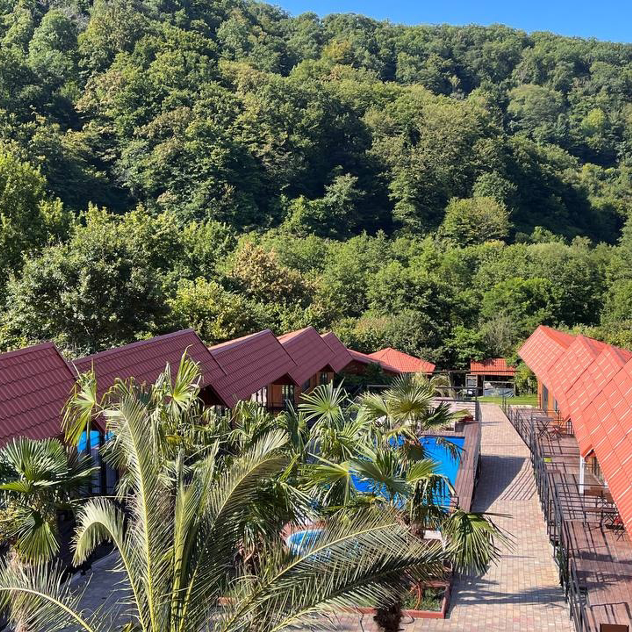 Йога-тур в Сочи из Нижнего Новгорода. Фотограф и видеограф Елена Лисина