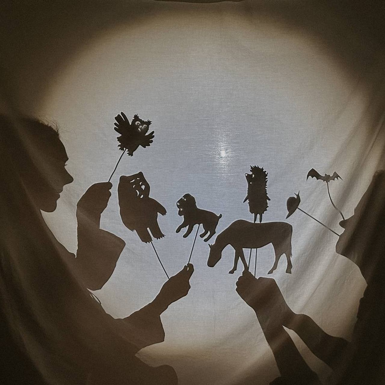 ФОТОПРАКТИКА. Фотограф и видеограф Елена Лисина