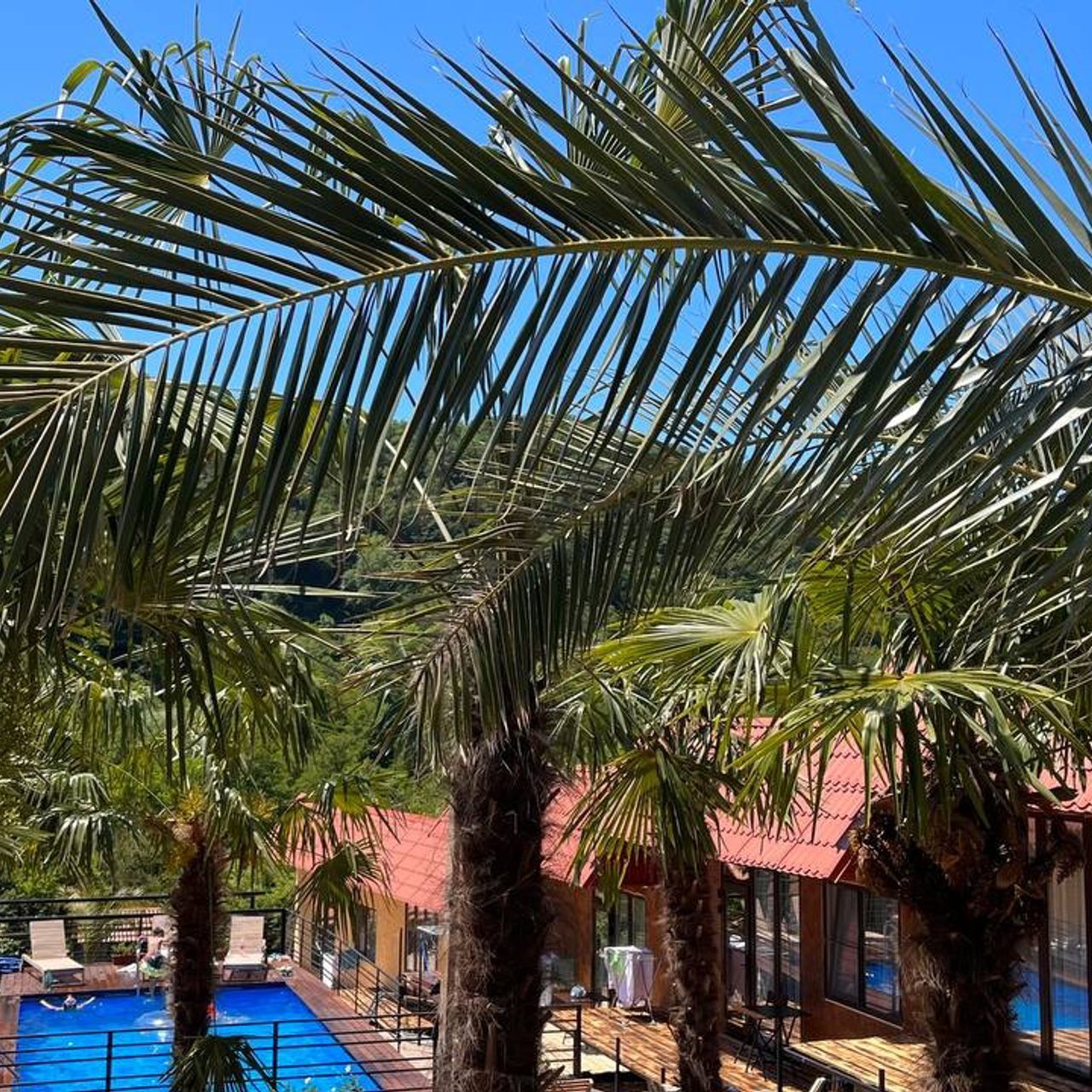 Йога-тур в Сочи из Нижнего Новгорода. Фотограф и видеограф Елена Лисина