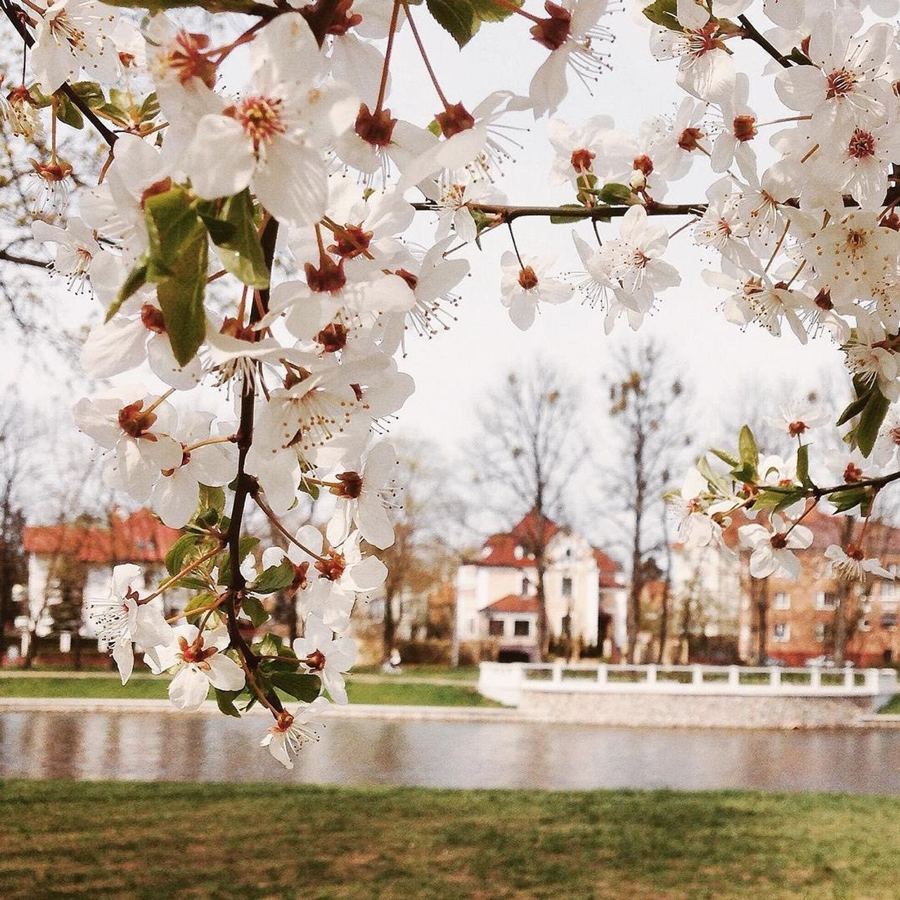 Фотоприключения в Нижнем Новгороде. Фотограф и видеограф Елена Лисина
