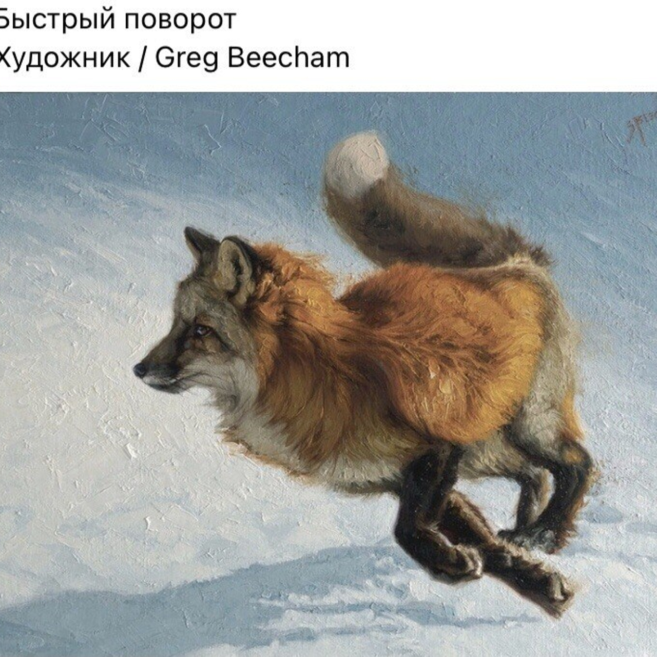 Инстаграм vs Фотоискусство. Пашунеску Ксения: Фотограф | Фотосессия в Анапе