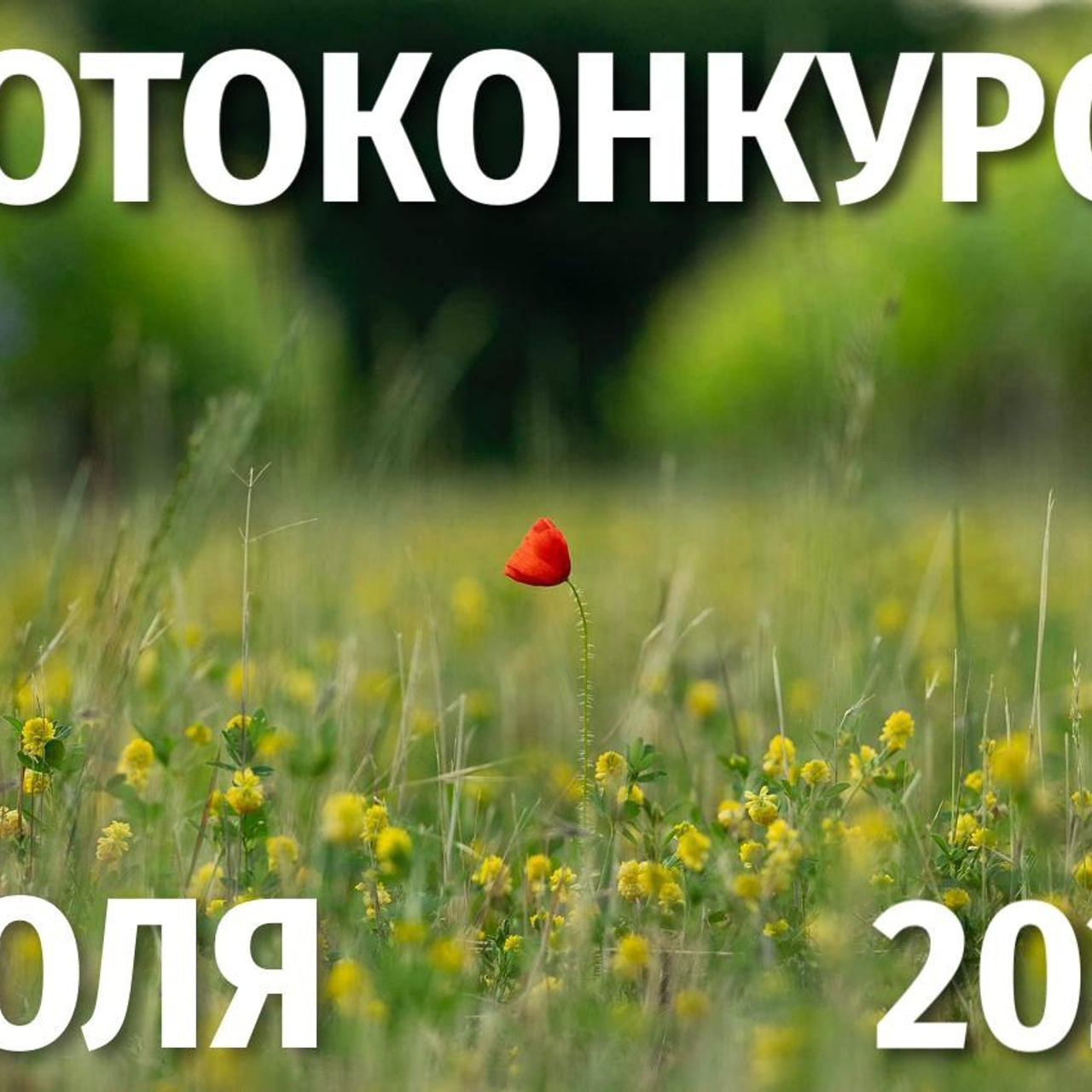 Интервью с победителем конкурса Kolga Tbilisi Award 2026. Репортажный фотограф в Сочи — Михаил Мордасов