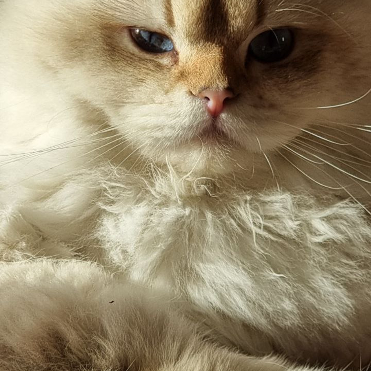 Лови Момент!. Фотограф Валентина Волкова. Москва, Апрелевка, Переделкино