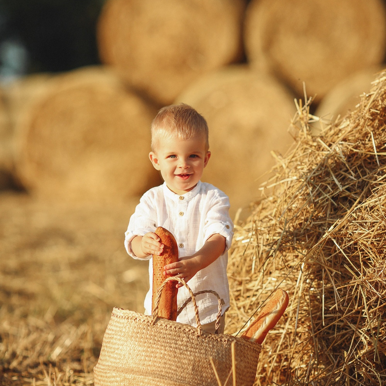 Снопы в полях АВГУСТ