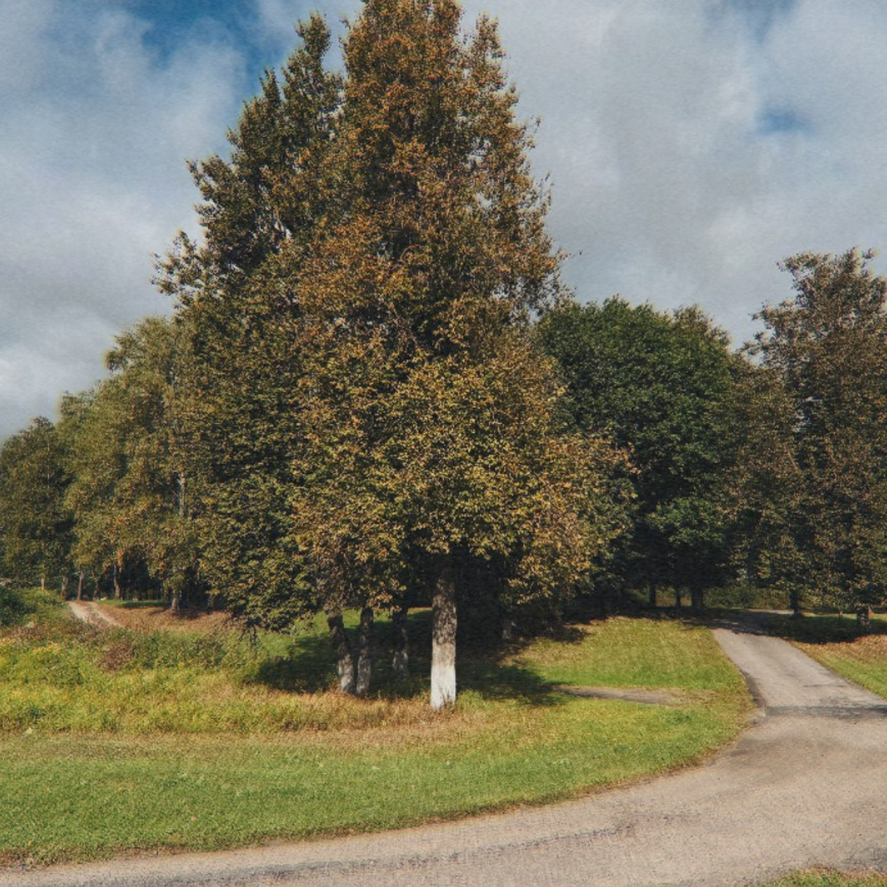 Бежичи, Фрегат