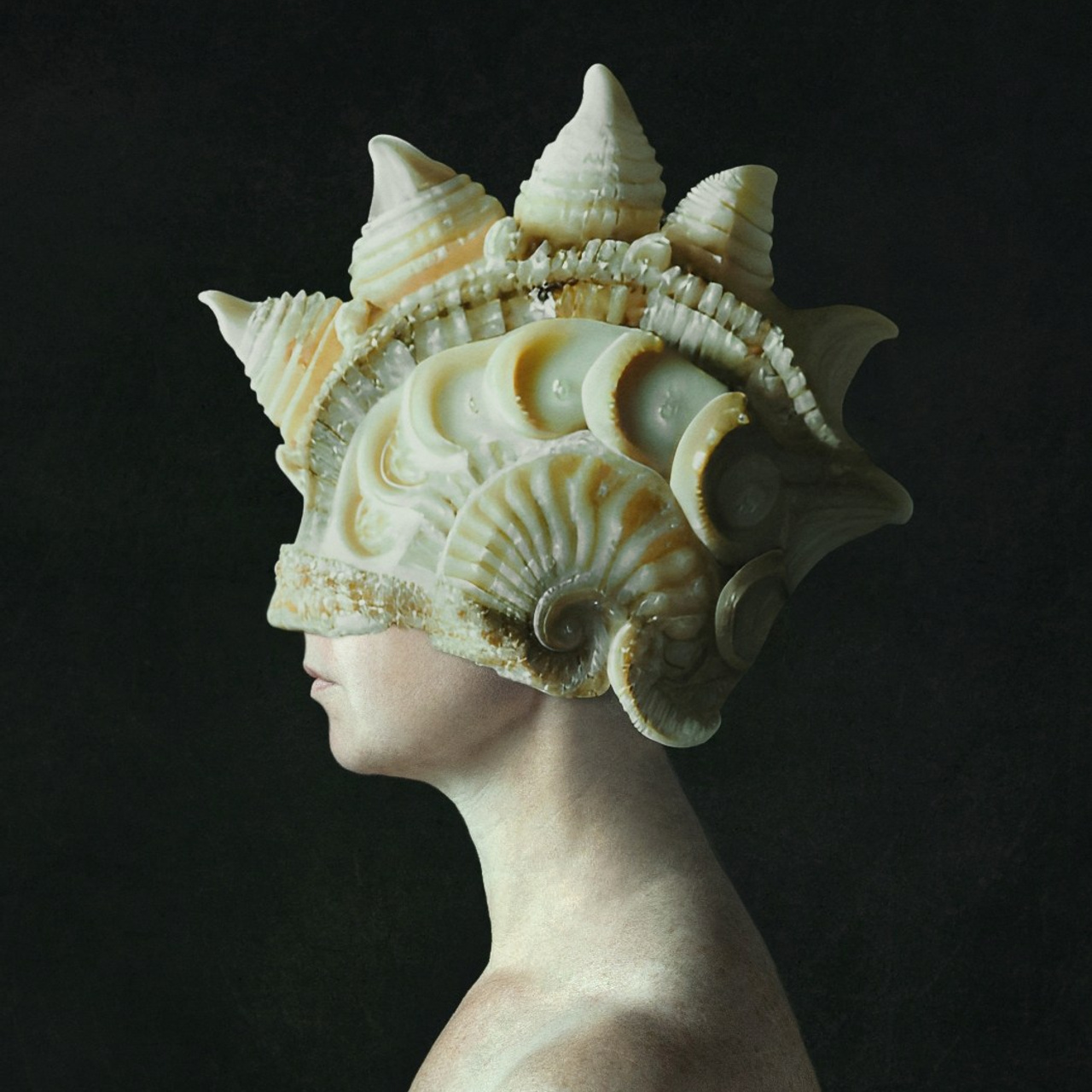 Аммониты / Ammonites