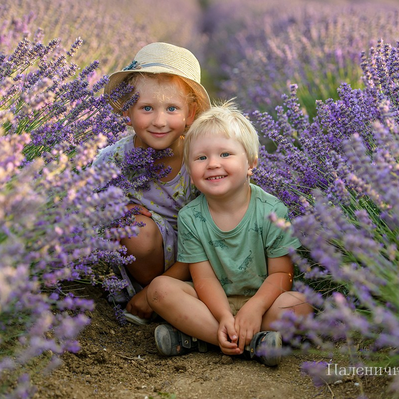 Фотосессия для деток в лаванде