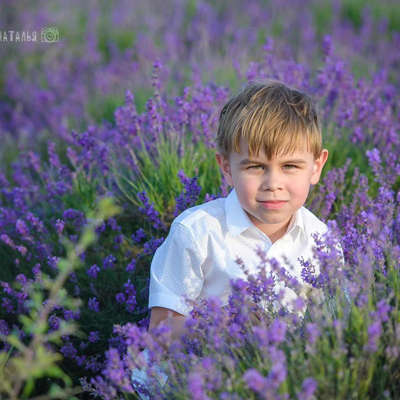 Фотосессия в Крымской лаванде. Профессиональный фотограф в Севастополе Паленичка Наталья. Все виды фотосессий
