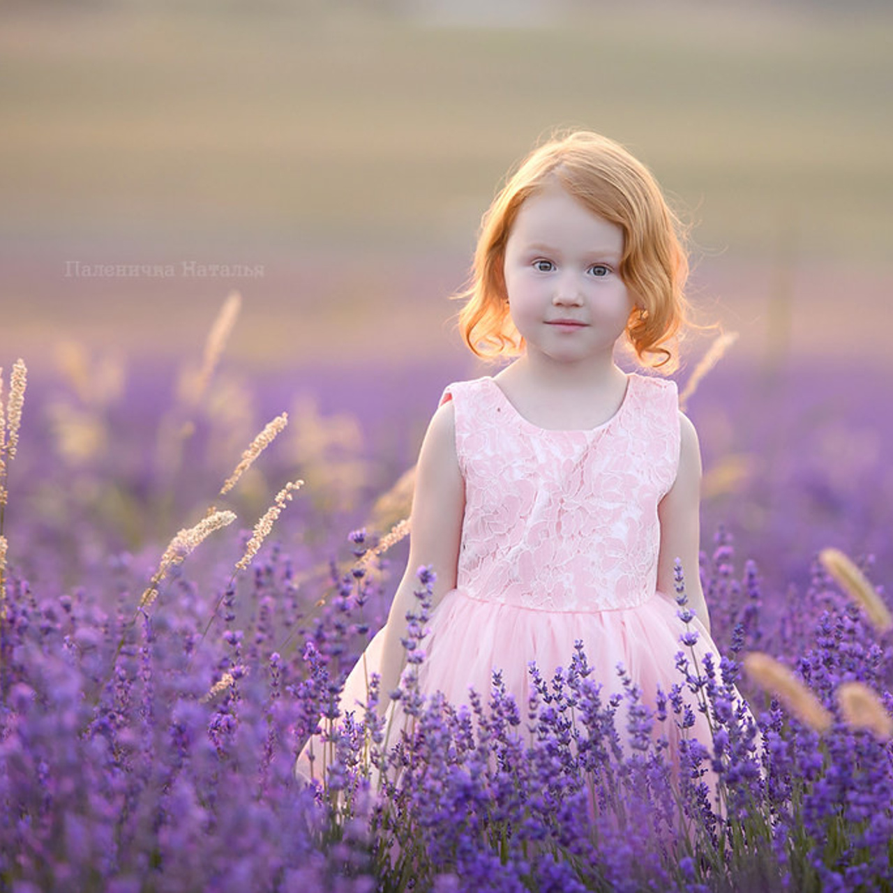 Фотограф в Севастополе. Фотосессия в лаванде.