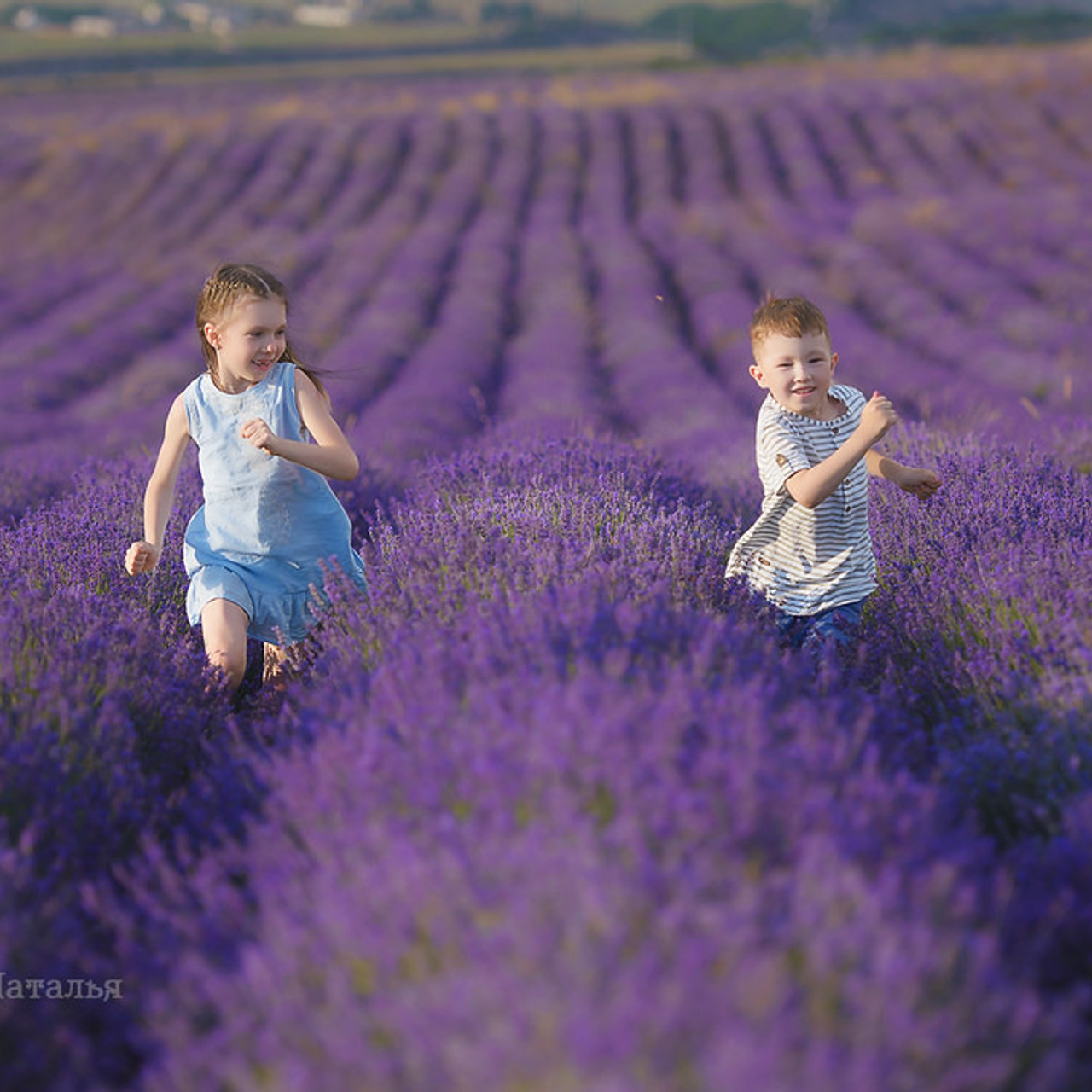 Фотограф в Севастополе. Фотосъемка в поле лаванды