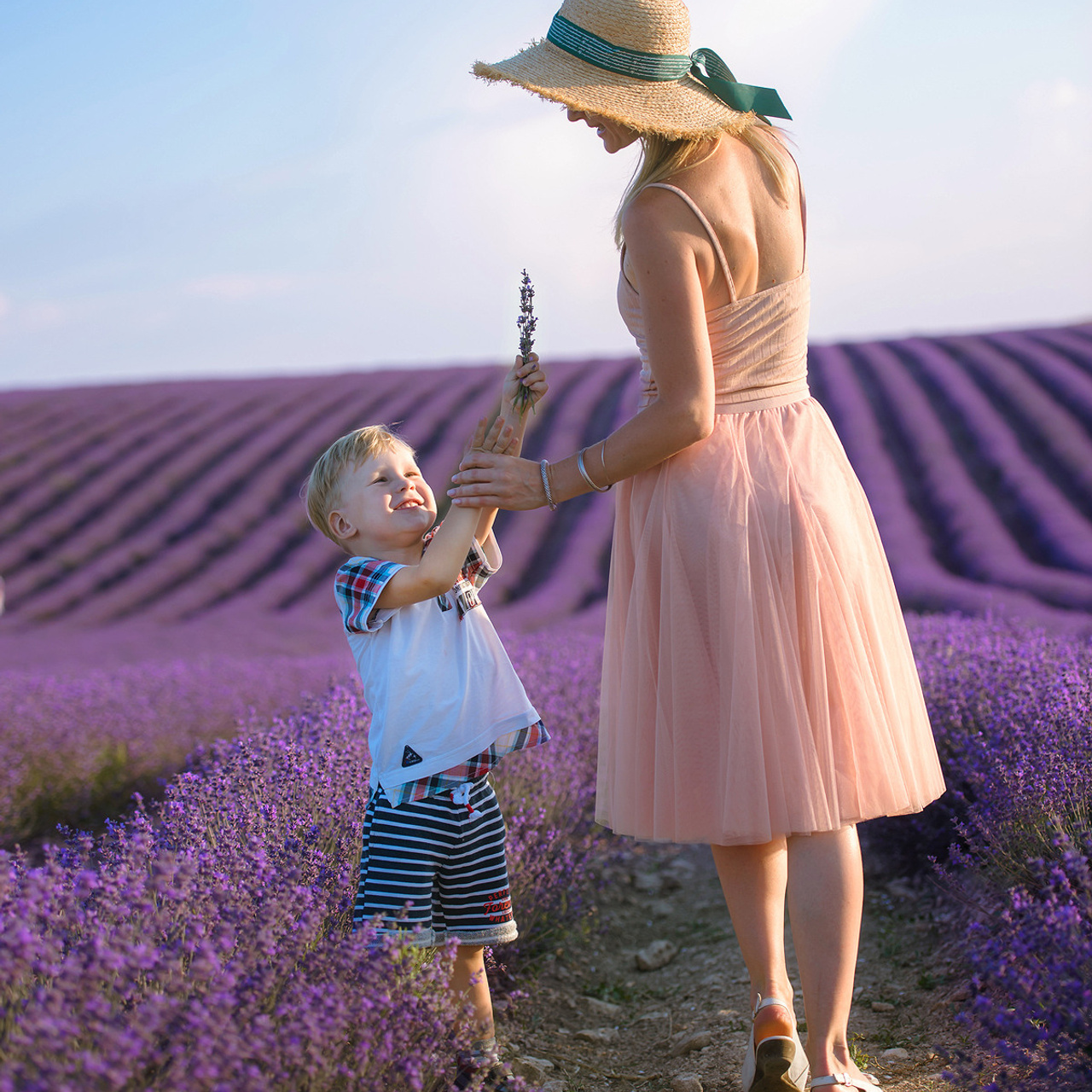 Фотосессия в цветении. Фотограф в Крыму и Севастополе Паленичка Наталья. Крымская лаванды в Тургеневке