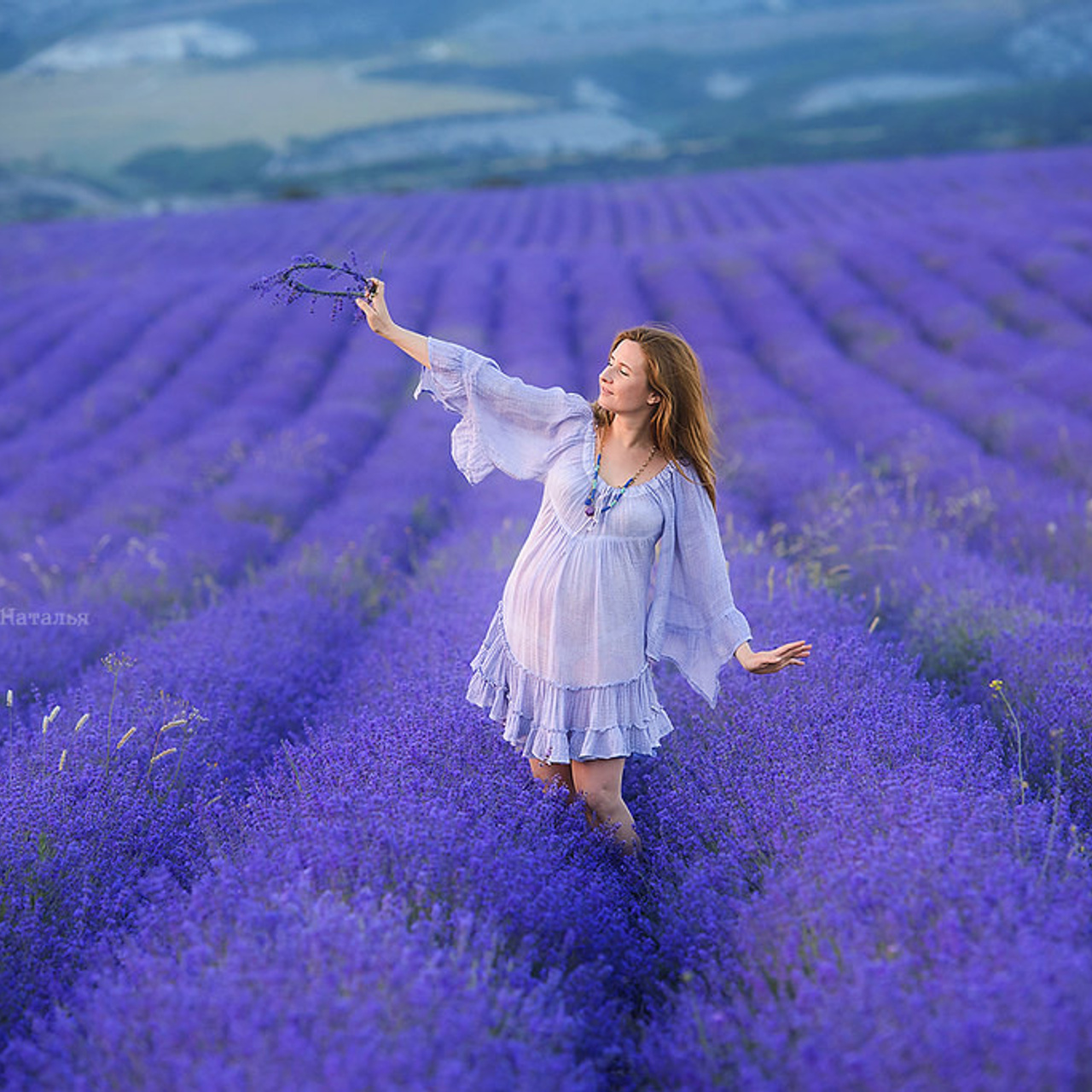 Лаванда в Тургеневке на закате