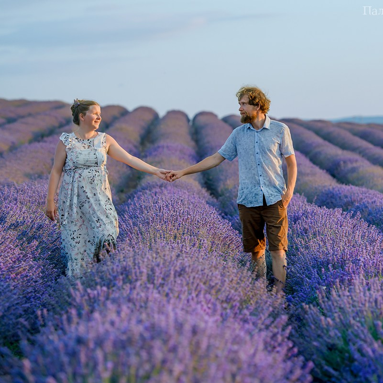 Фотограф в Тургеневке в лаванде для двоих